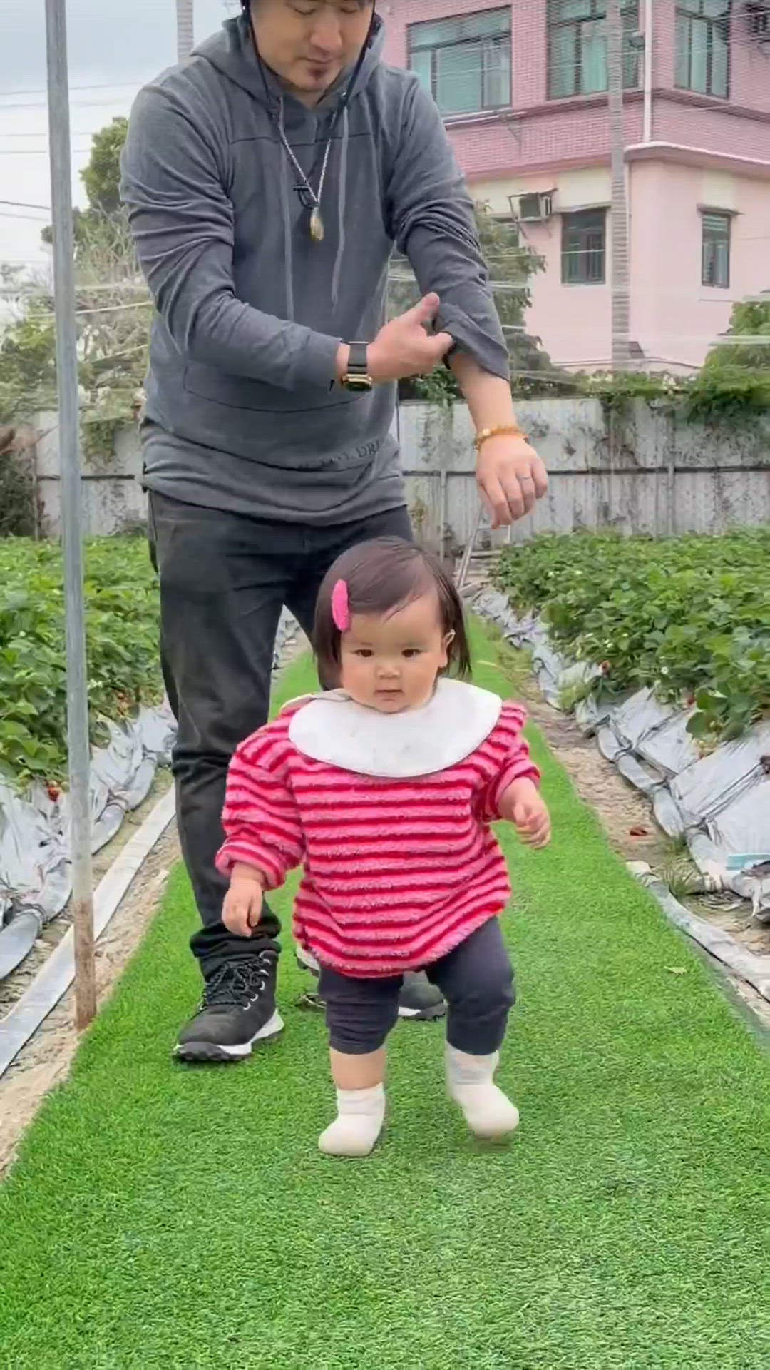 農莊樂！採摘甜果！🍓🍇