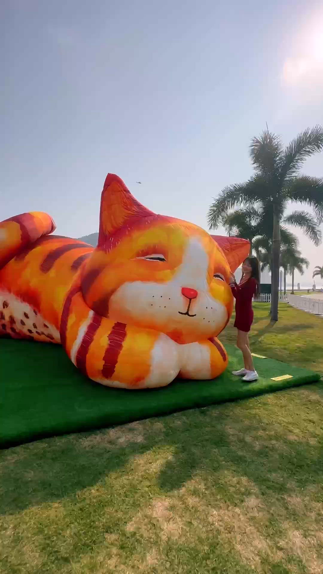 巨型貓咪一家三口呀!《夢遊喵境》亞洲首展免費任摸任打卡