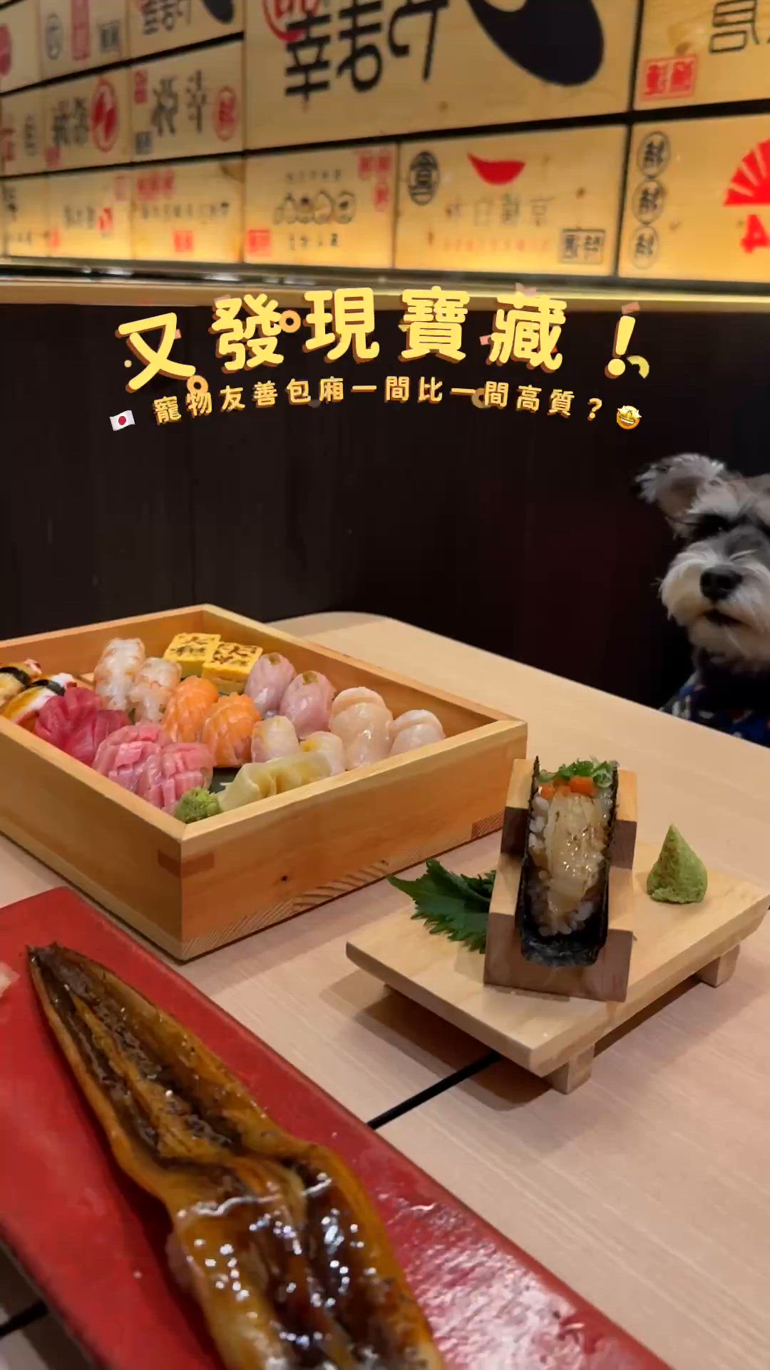 寵物友善🍣荔枝角覓食🐾