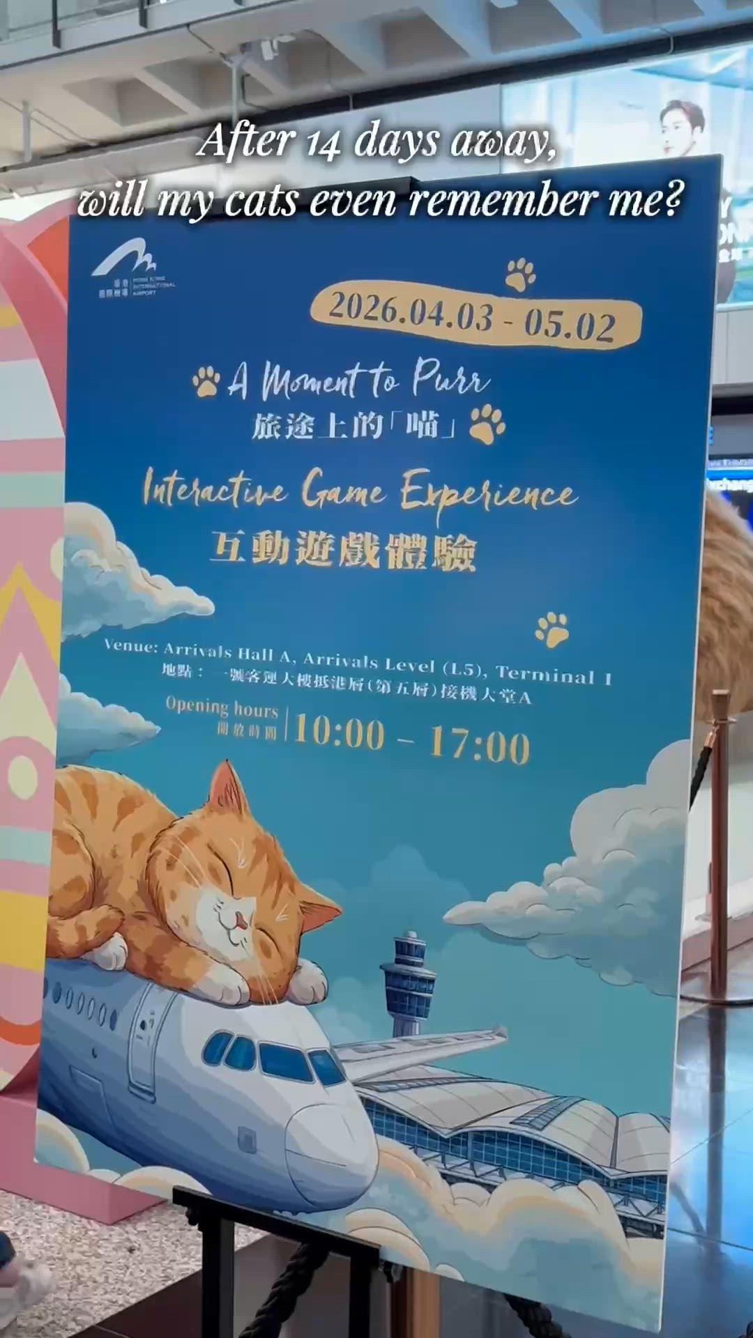 雲媽閒遊錄🏖️ | 旅途上的「喵」🐱✨