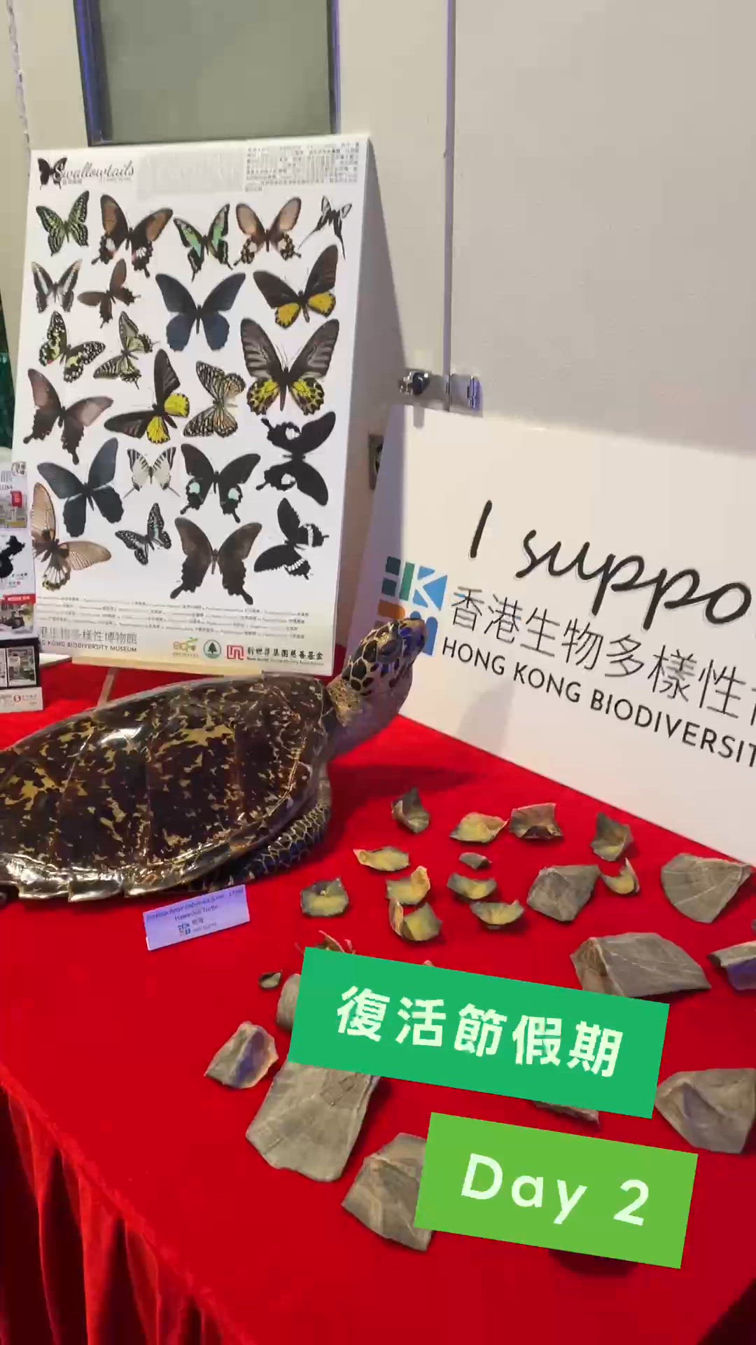 把握機會！免費親親小動物！