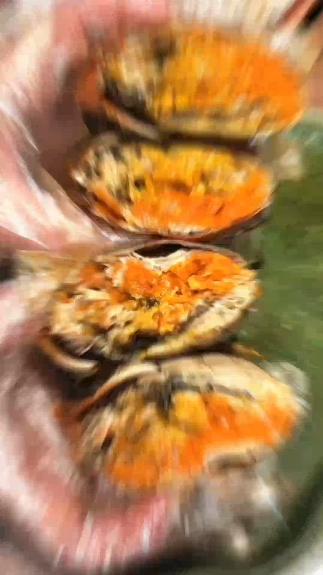 皇庭廣場食買玩，鮮味蟹料理性價比高！