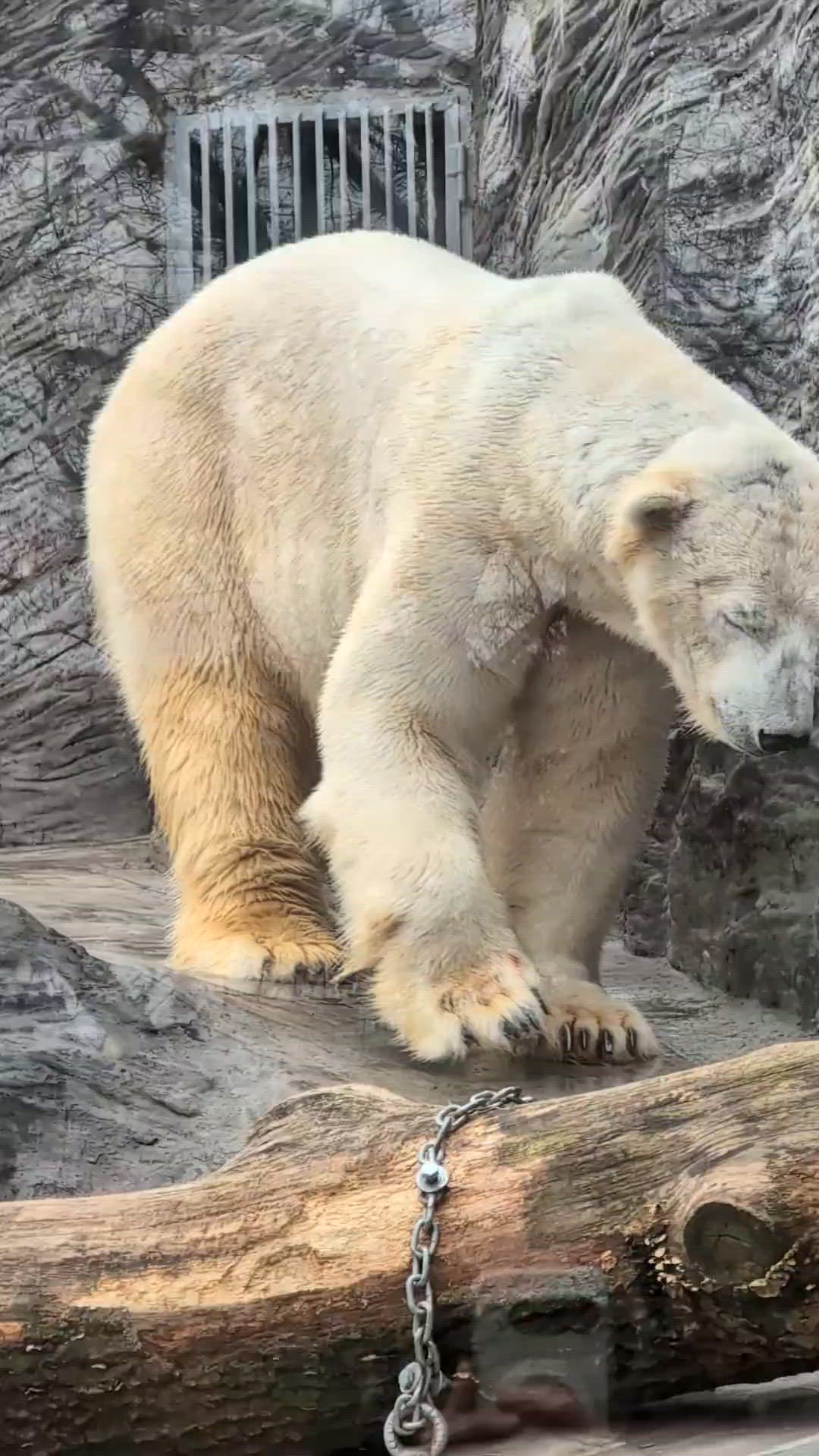 🐤全球五大最佳「無鐵籠」動物園in布拉格