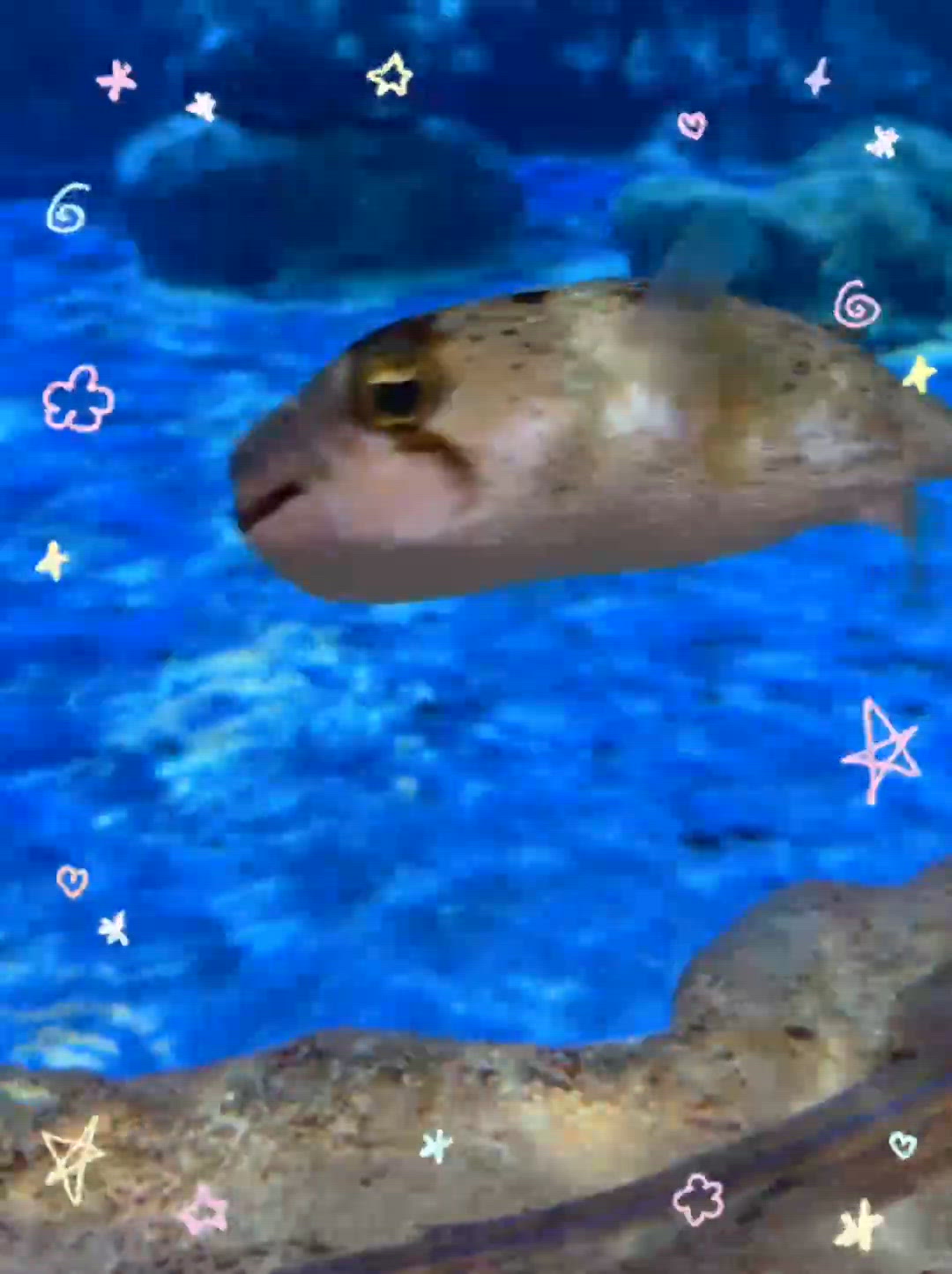 海洋公園海底世界🐠🐙