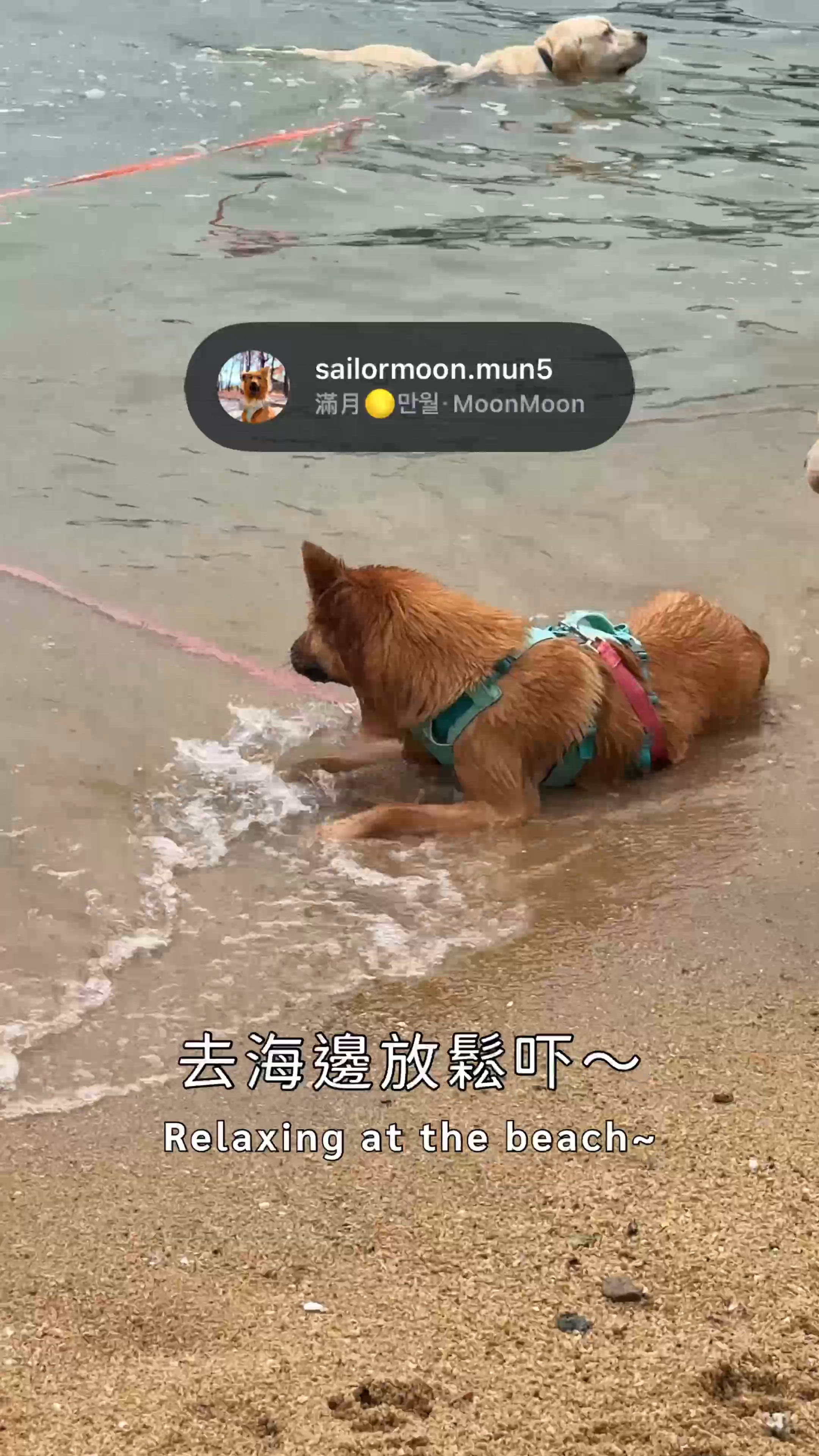 捉緊復活節尾巴！😎