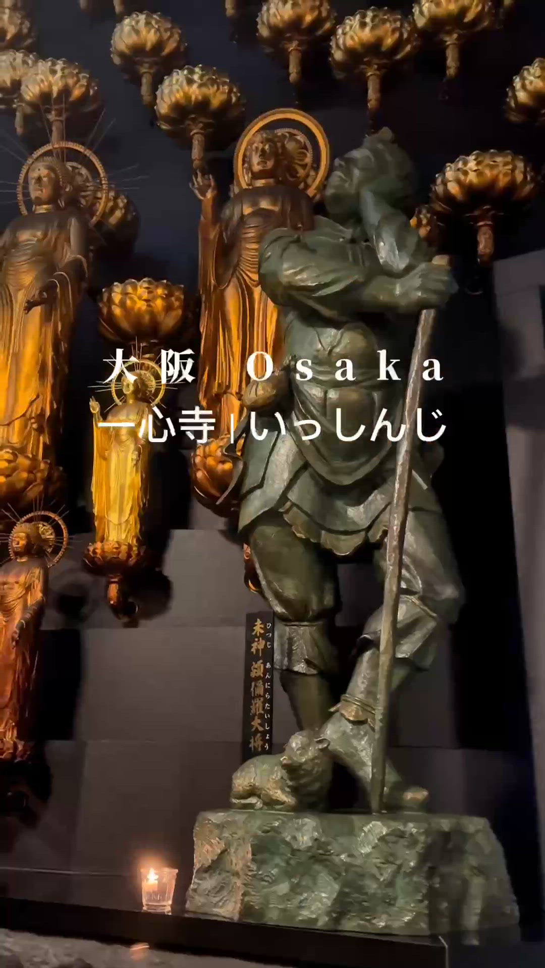 遊大阪一定唔好錯過 金佛寺洗禮✨淨化心靈！