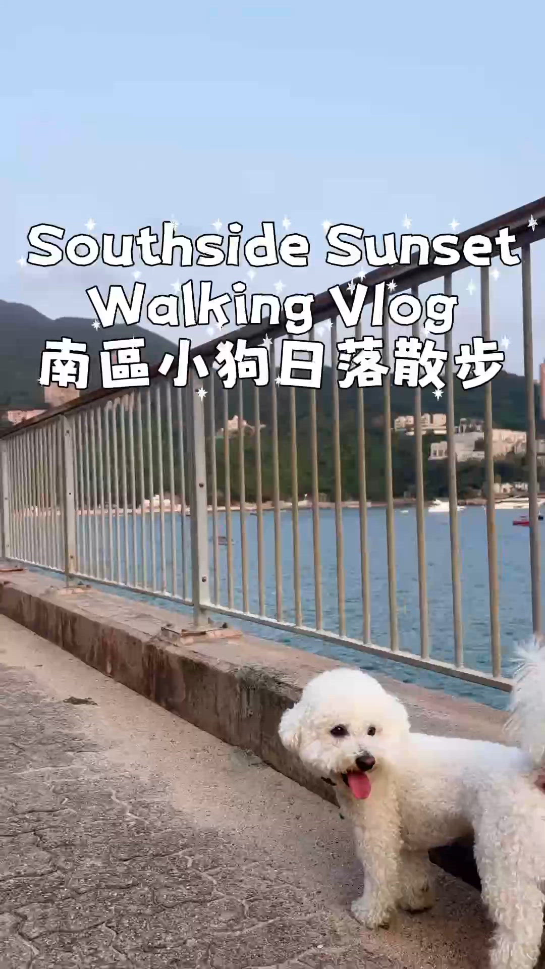 南區沙灘之子｜人寵友善散步路線 全平路🦮