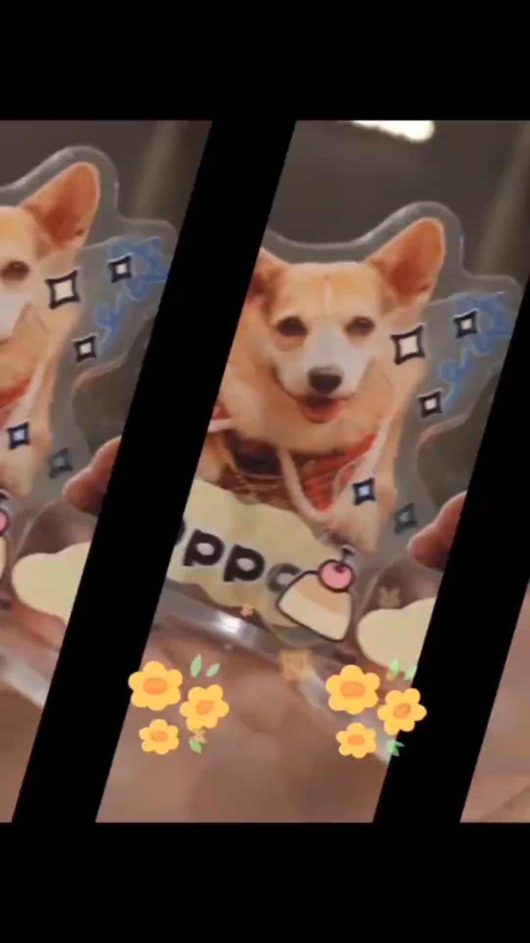 主子請客 洞穴嘆西餐 🍽️ 💰