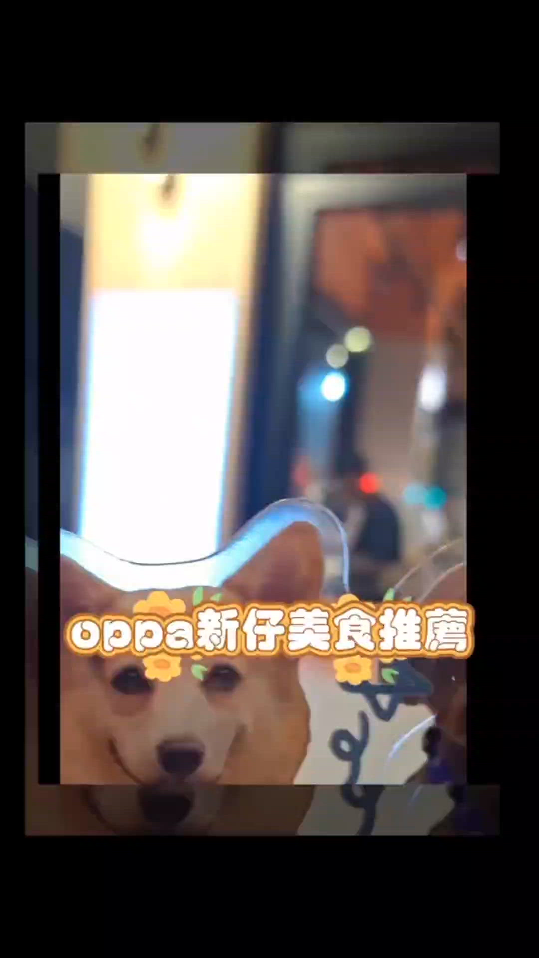Chill賞去OP放電 
銅鑼灣鬧市中的北海道暖心滋味 🍲
