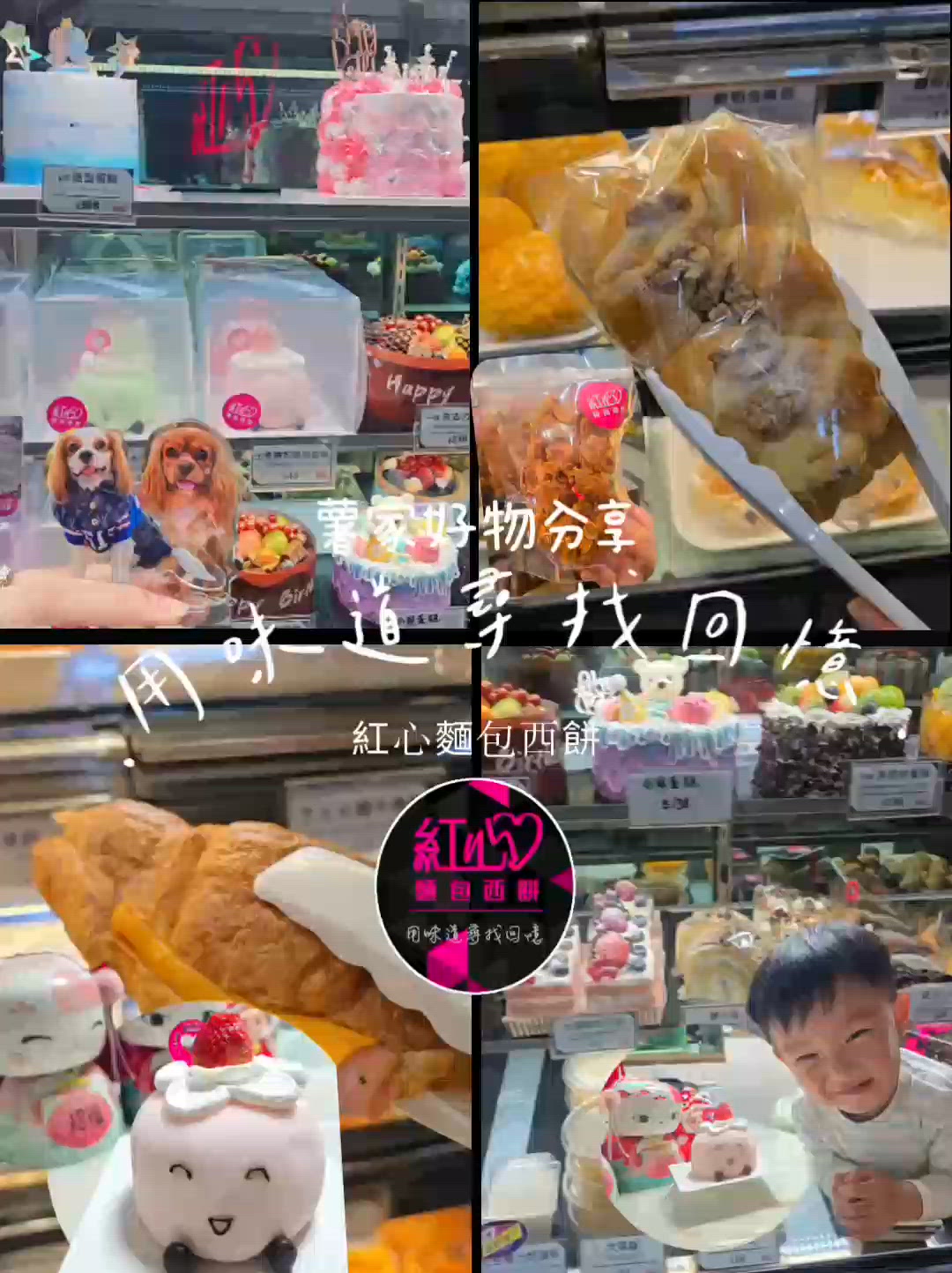 打破傳統蛋糕店