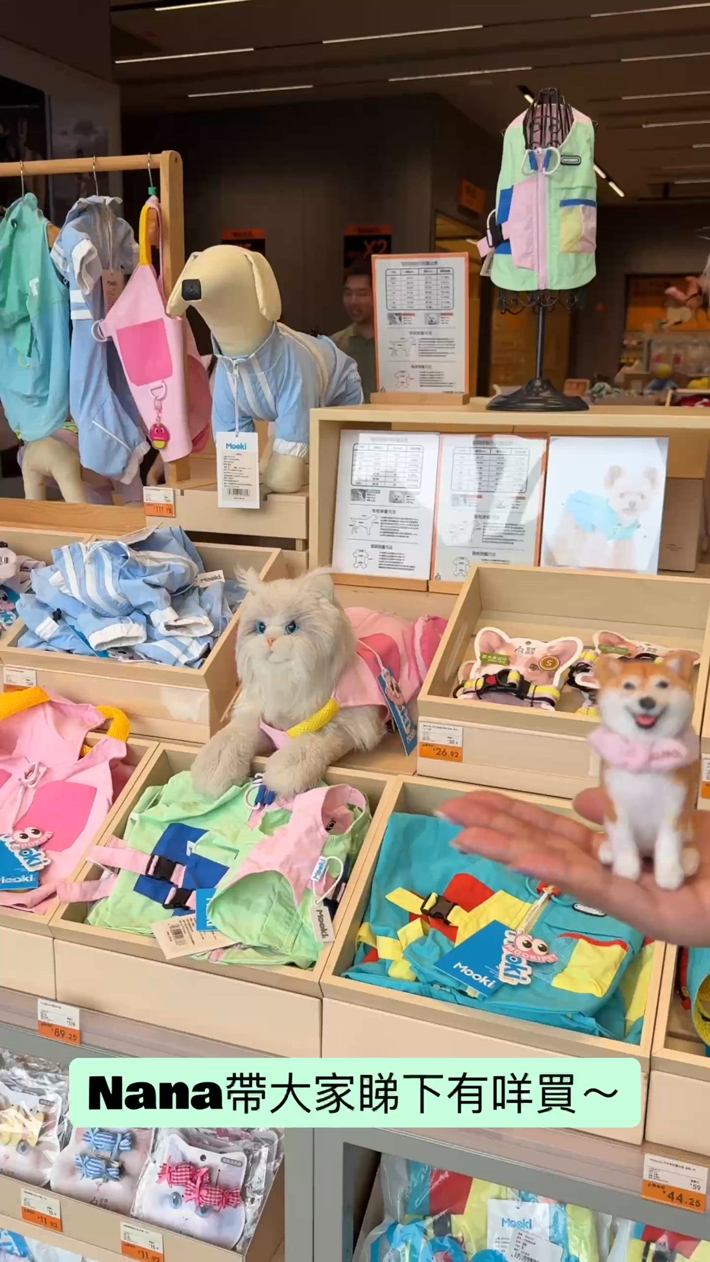 📍北上尋寶記·深圳超好逛的寵物超市 🛒✨