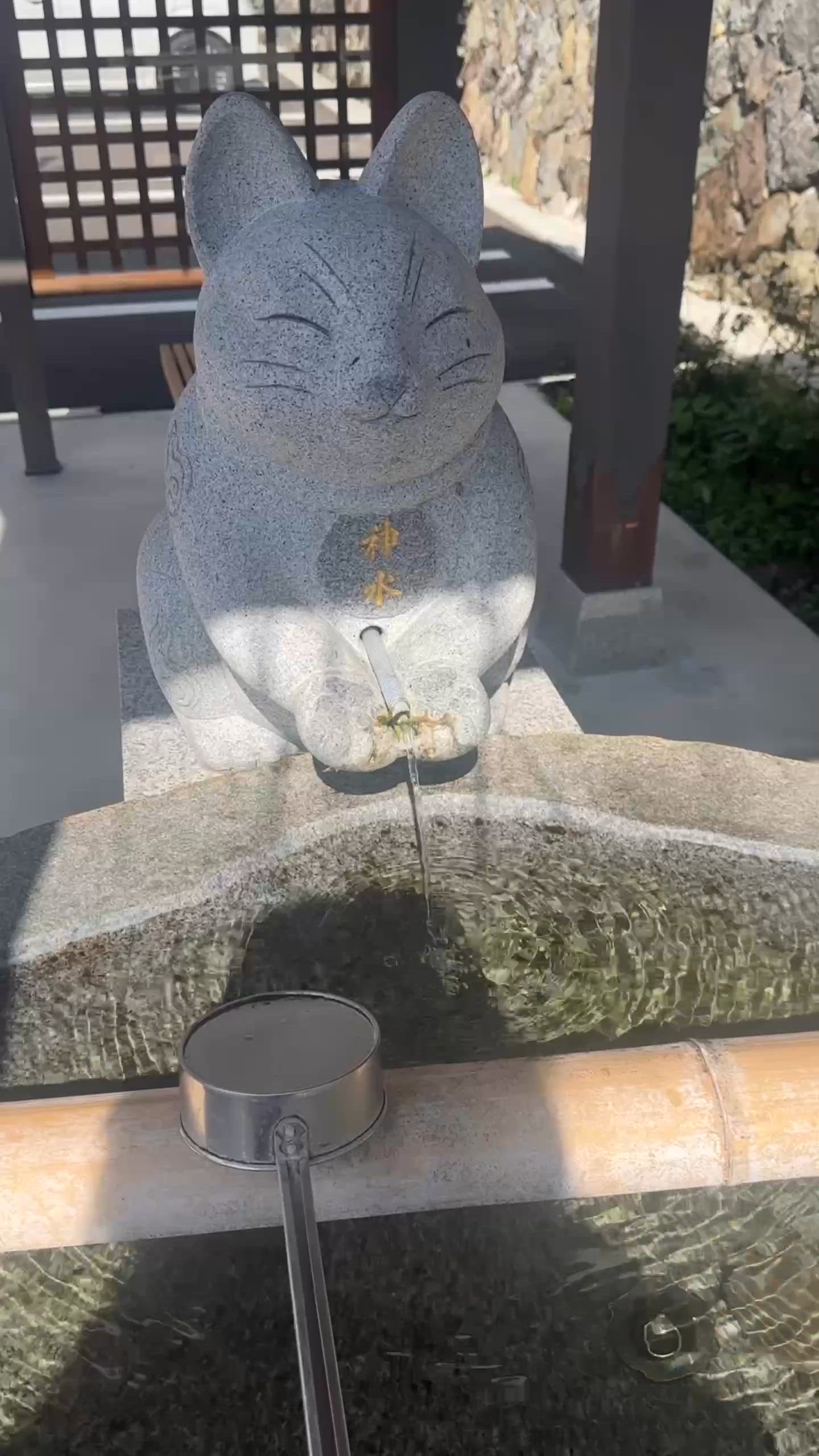 🌸日本四國 • 德島隱蔽招財貓貓寺