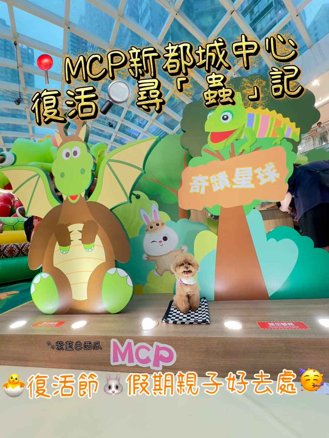 復活尋蟲記🚨近距離見奇獸！🦎🐛