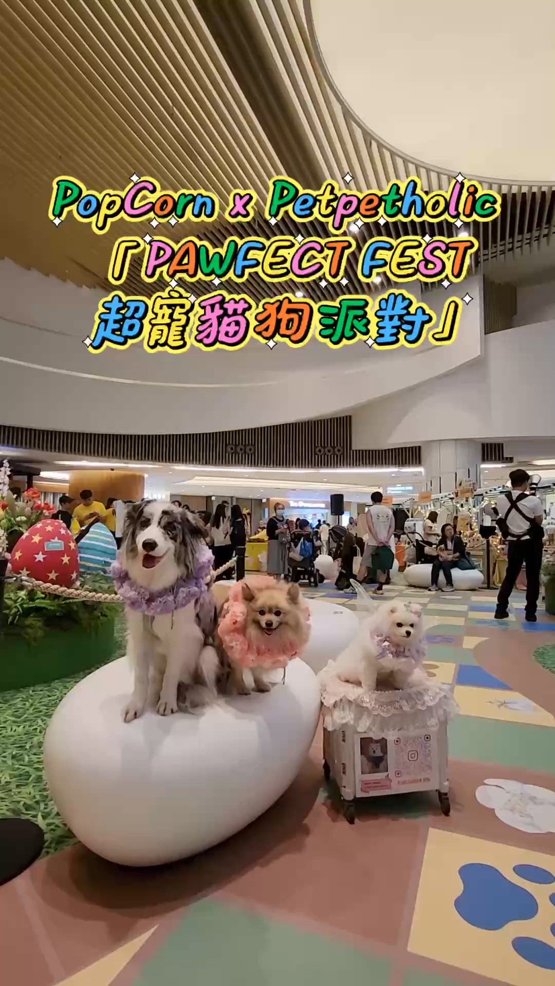 超寵貓狗派對