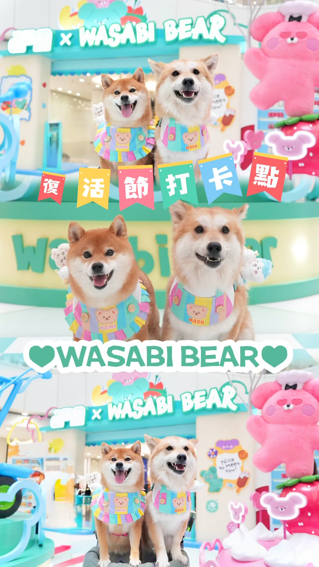 APM x WASABI BEAR😍😍