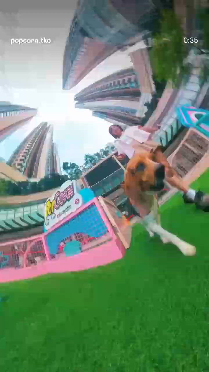 嘩！條片拍得好靚呀🤩 @samuelkwansy🥰

想