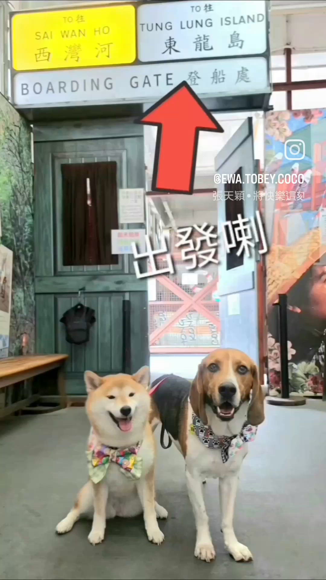 media 3