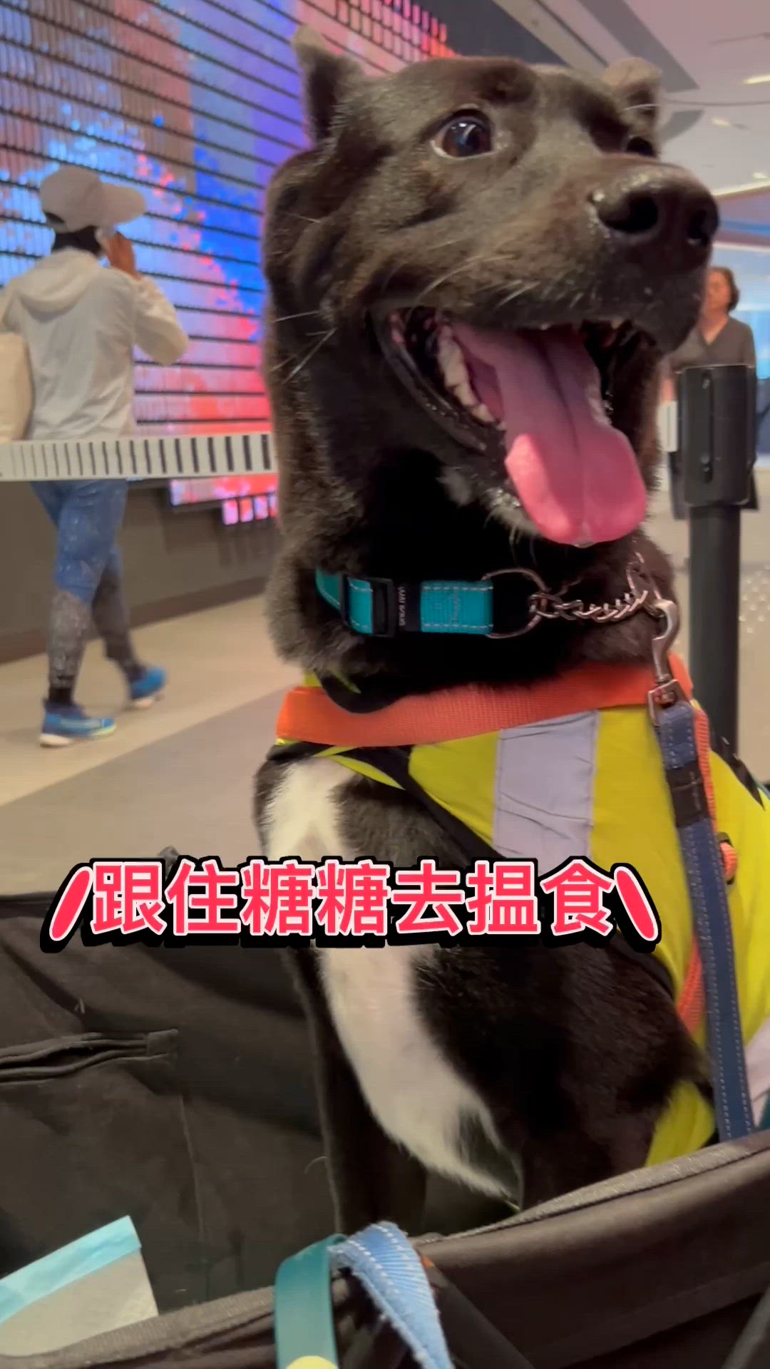 【自己人.Airside潮汕餐廳🐾】