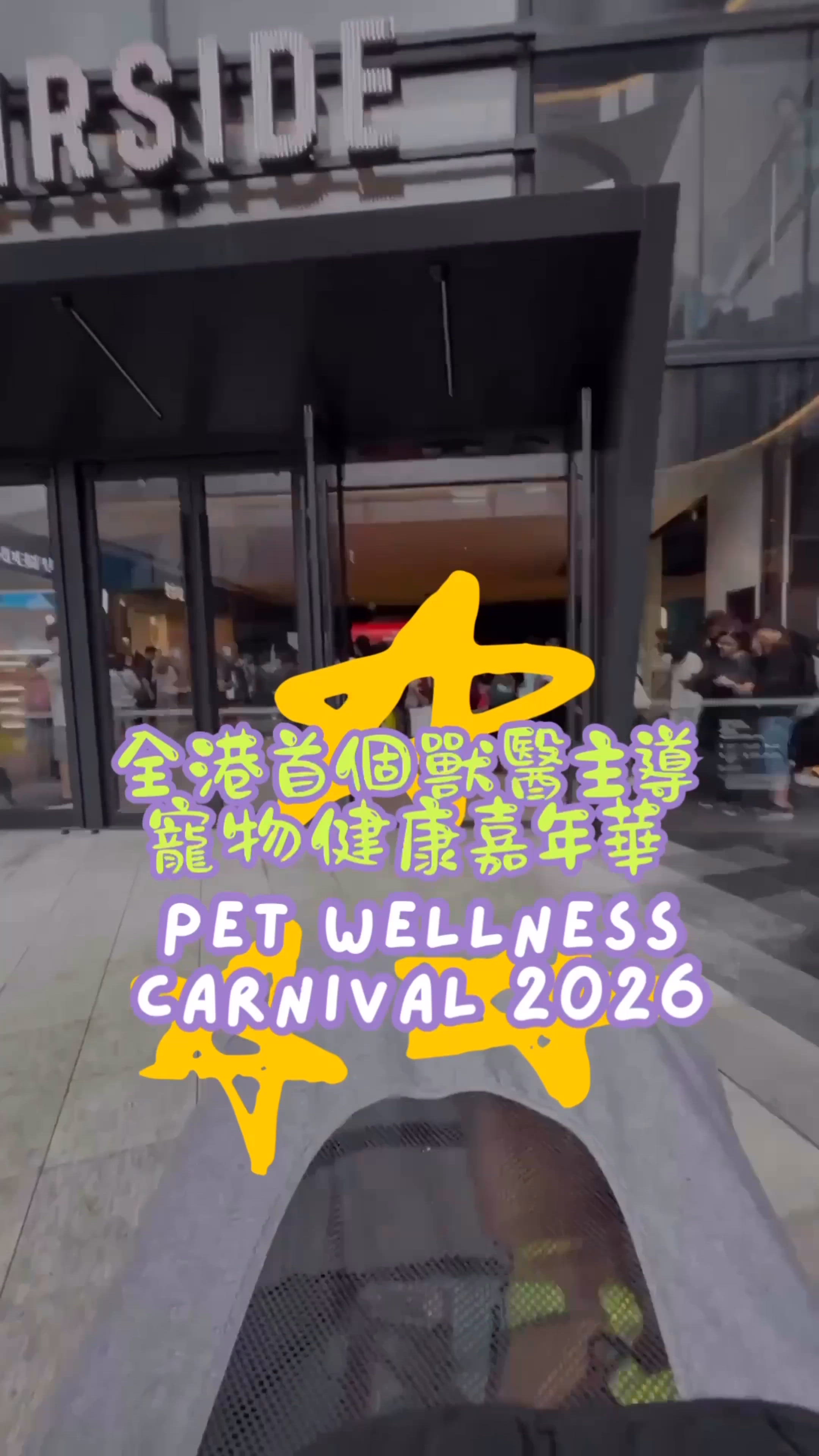 啟德 AIRSIDE✨🐕獸醫主導x寵物健康嘉年華