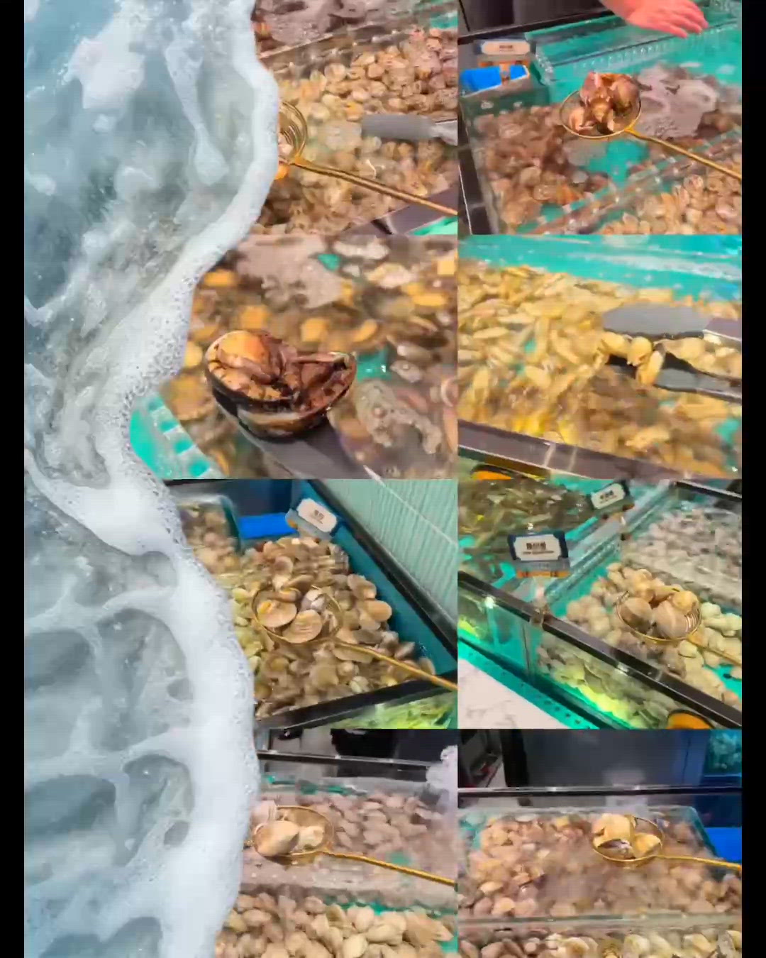 任撈海鮮！吃到肚腩仔頂！🦀😋