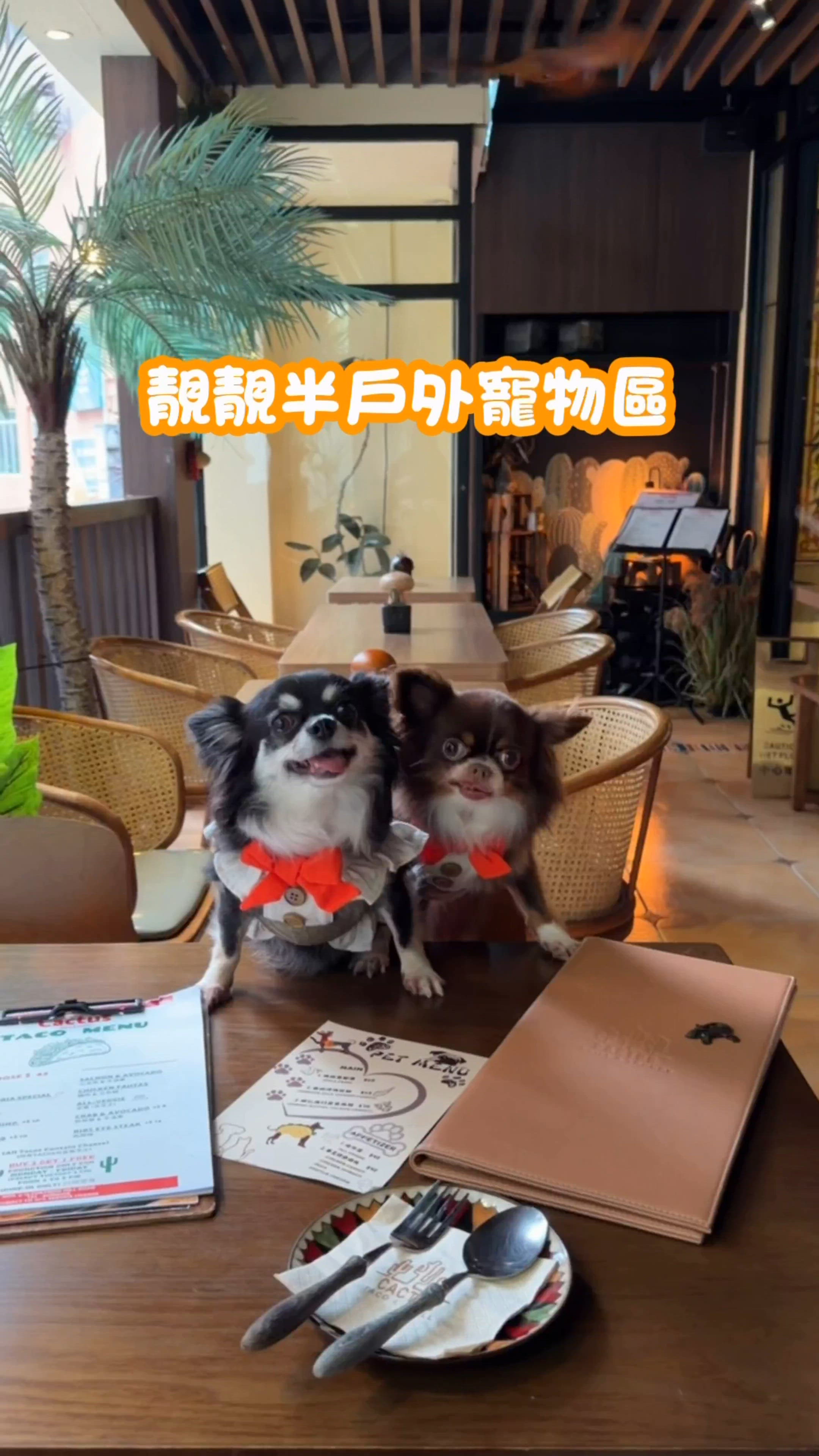 墨西哥風情打卡餐廳|