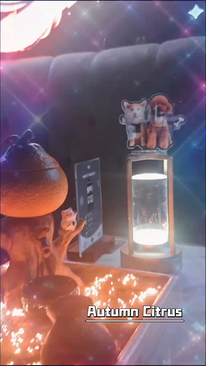 微醺 cocktails 🍹✨ | 滋味一夜 🥢