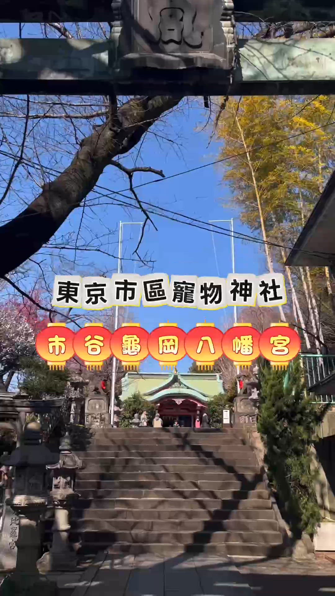 🎌東京市區寵物神社⛩️