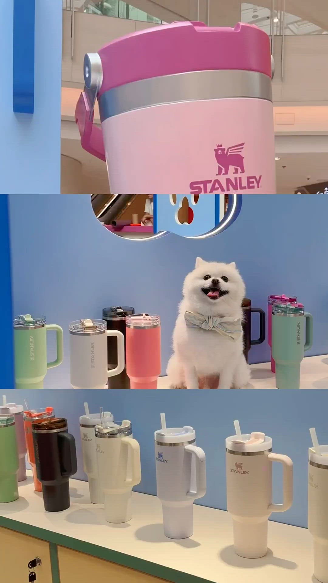 圓方限定！stanley pop-up store🐾