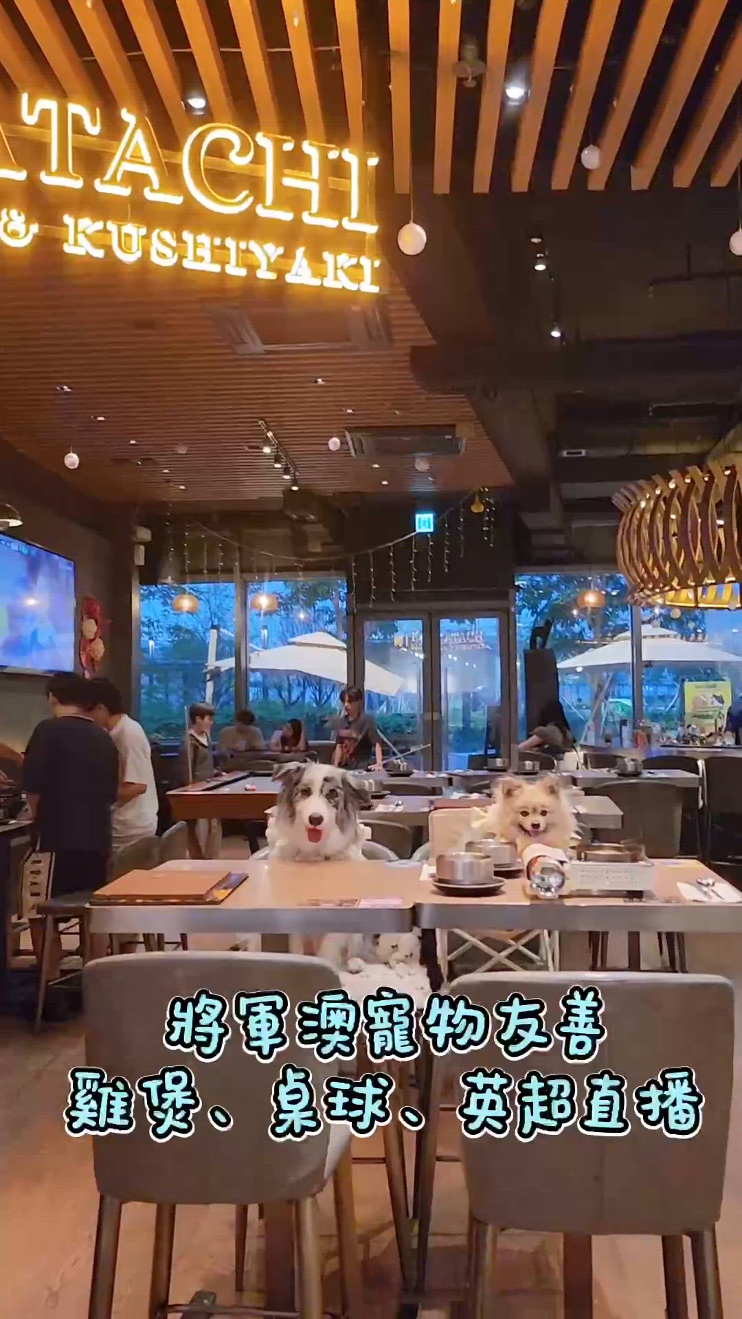 毛孩、雞煲、啤酒與足球直播