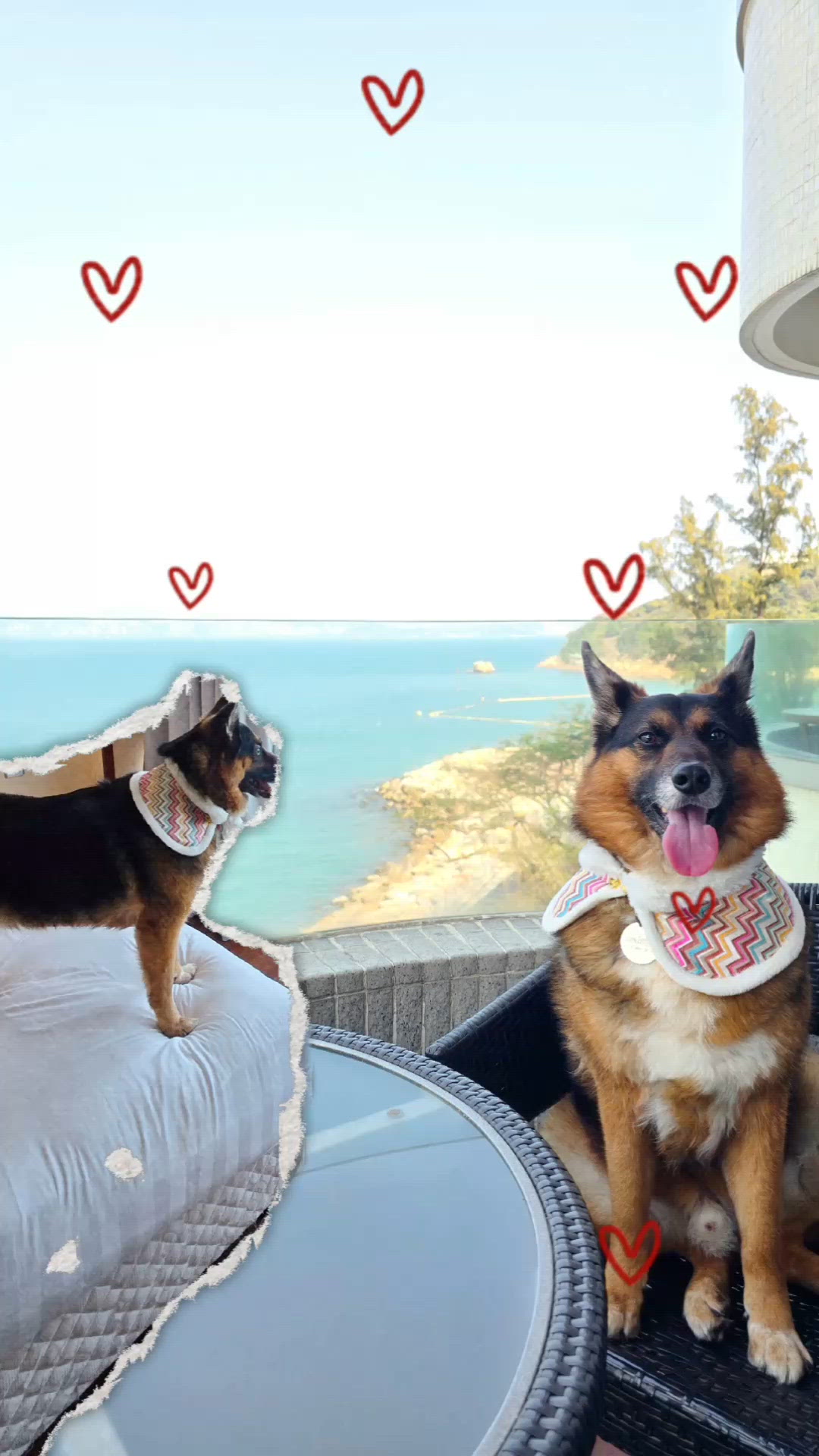 長洲🐾放狗好去處🐶🥰