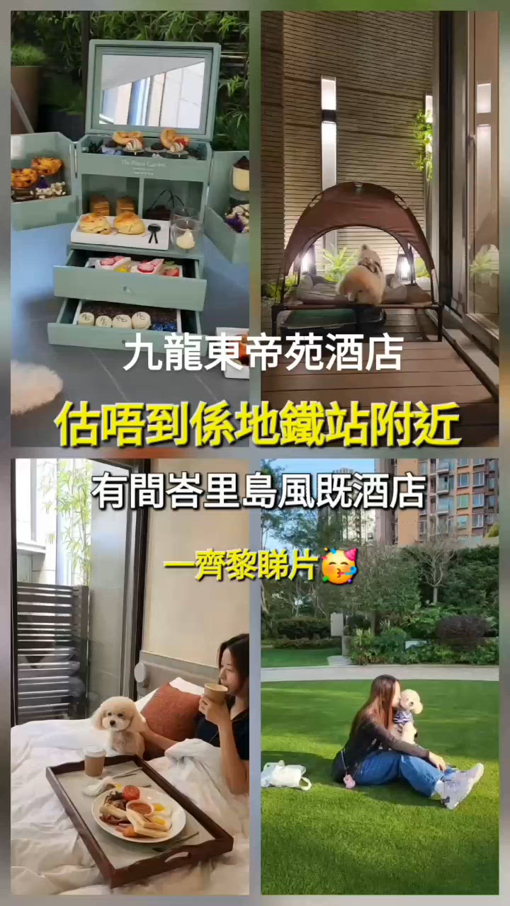 九龍東帝苑酒店 petfriendly 