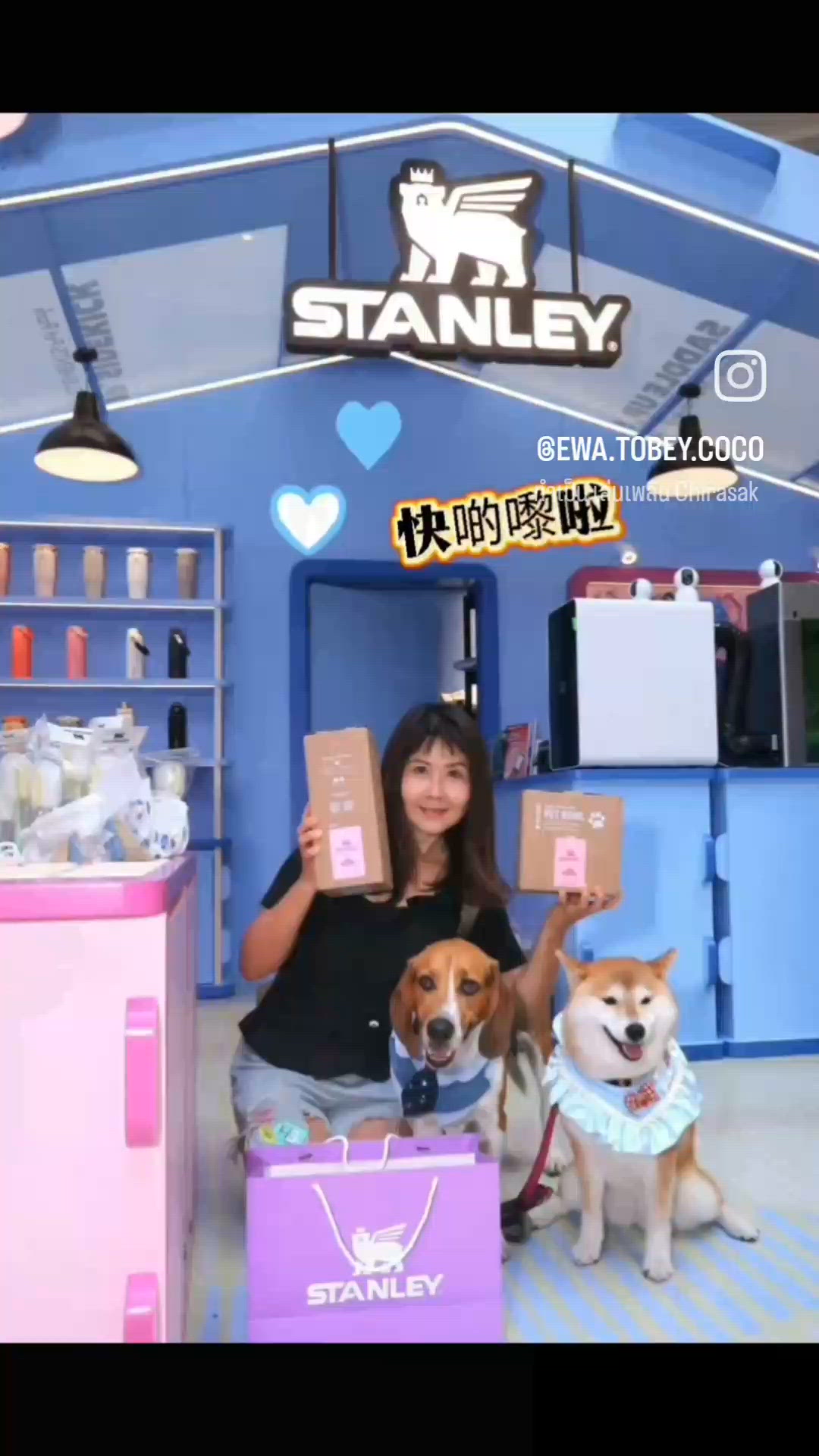 【🏜️🐾 Stanley 1913 全港首個寵物系列登陸