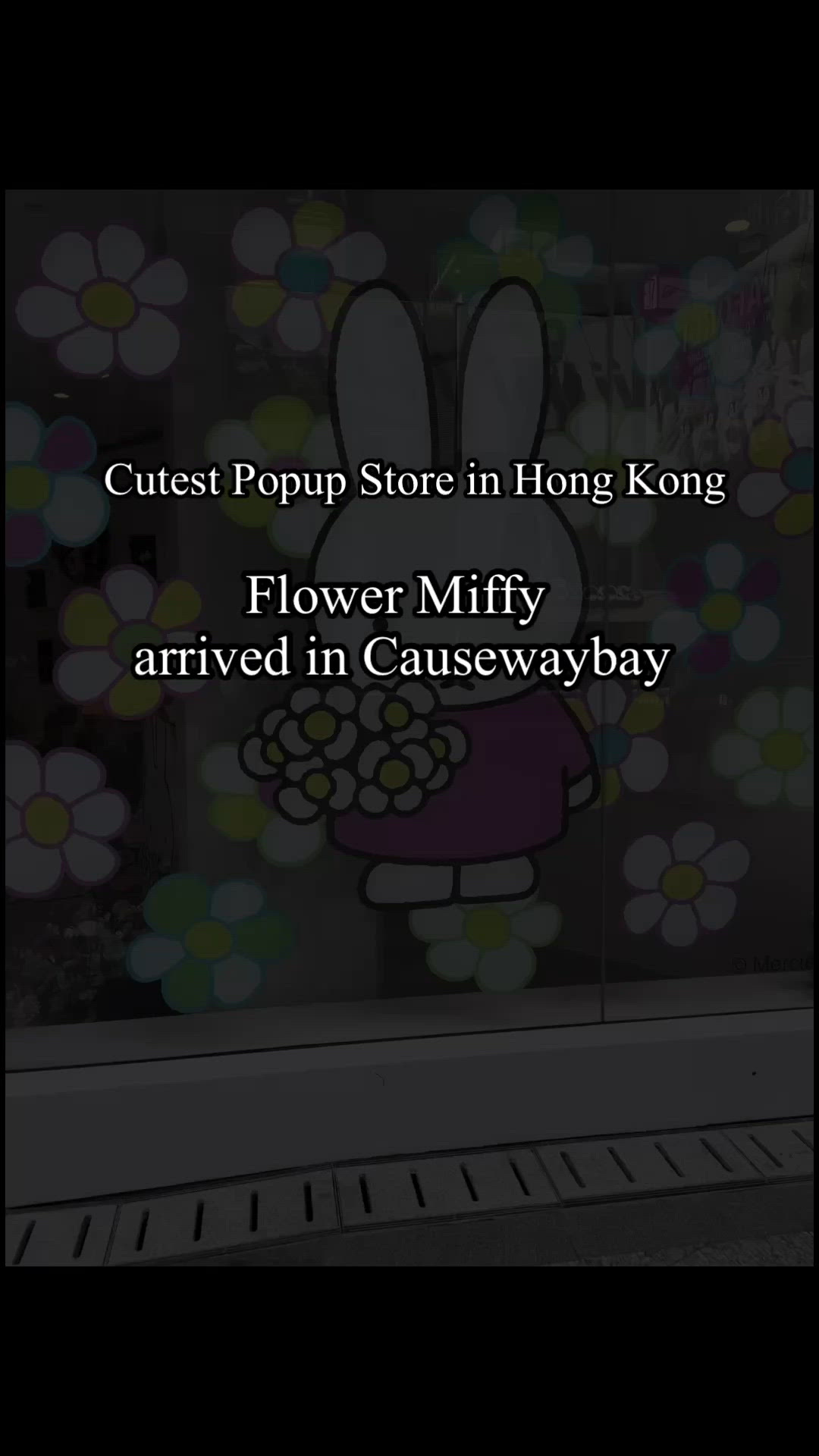 日本人氣FlowerMiffy 限定店終於到香港啦手