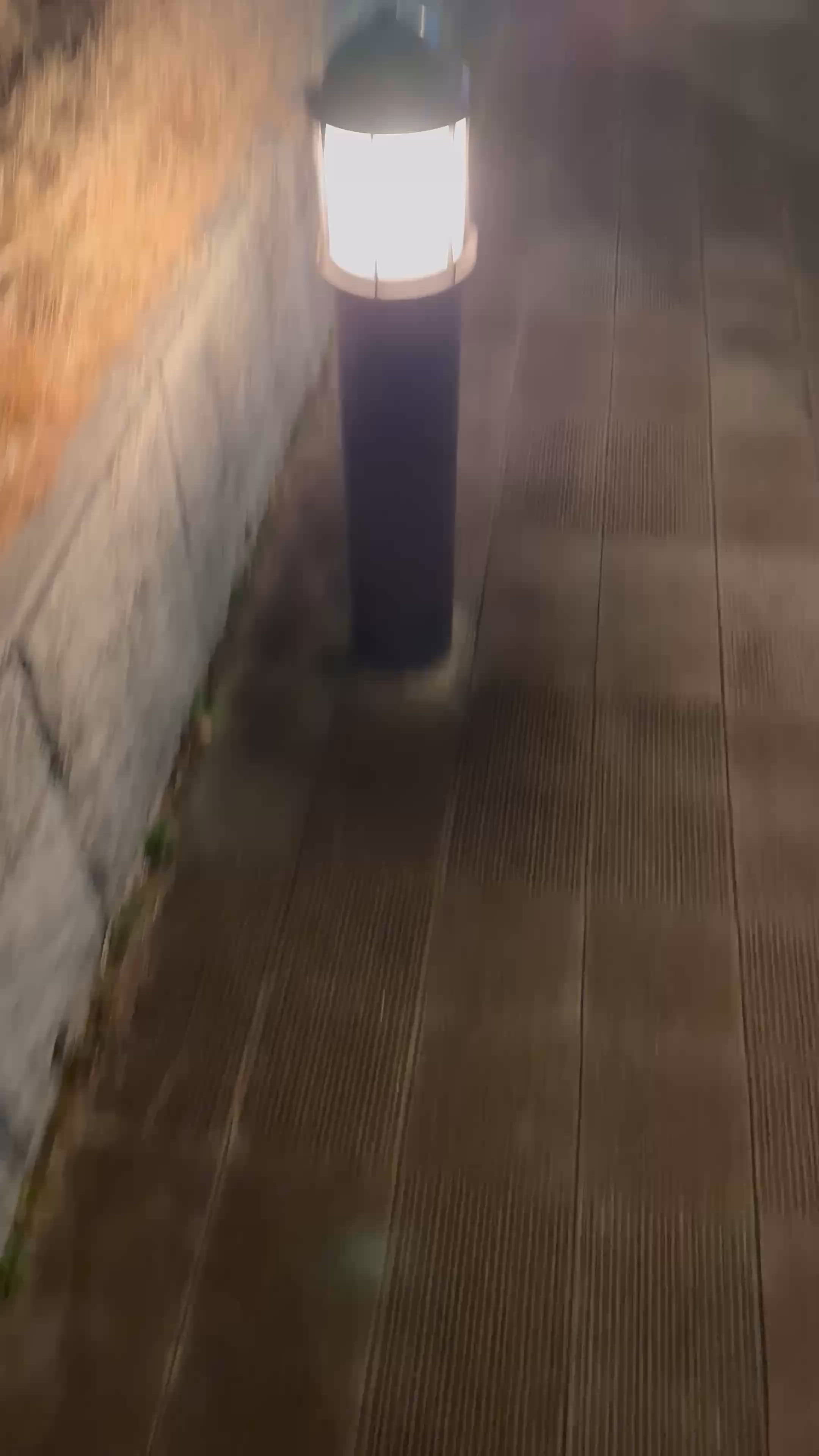 日本旅行打卡 🇯🇵