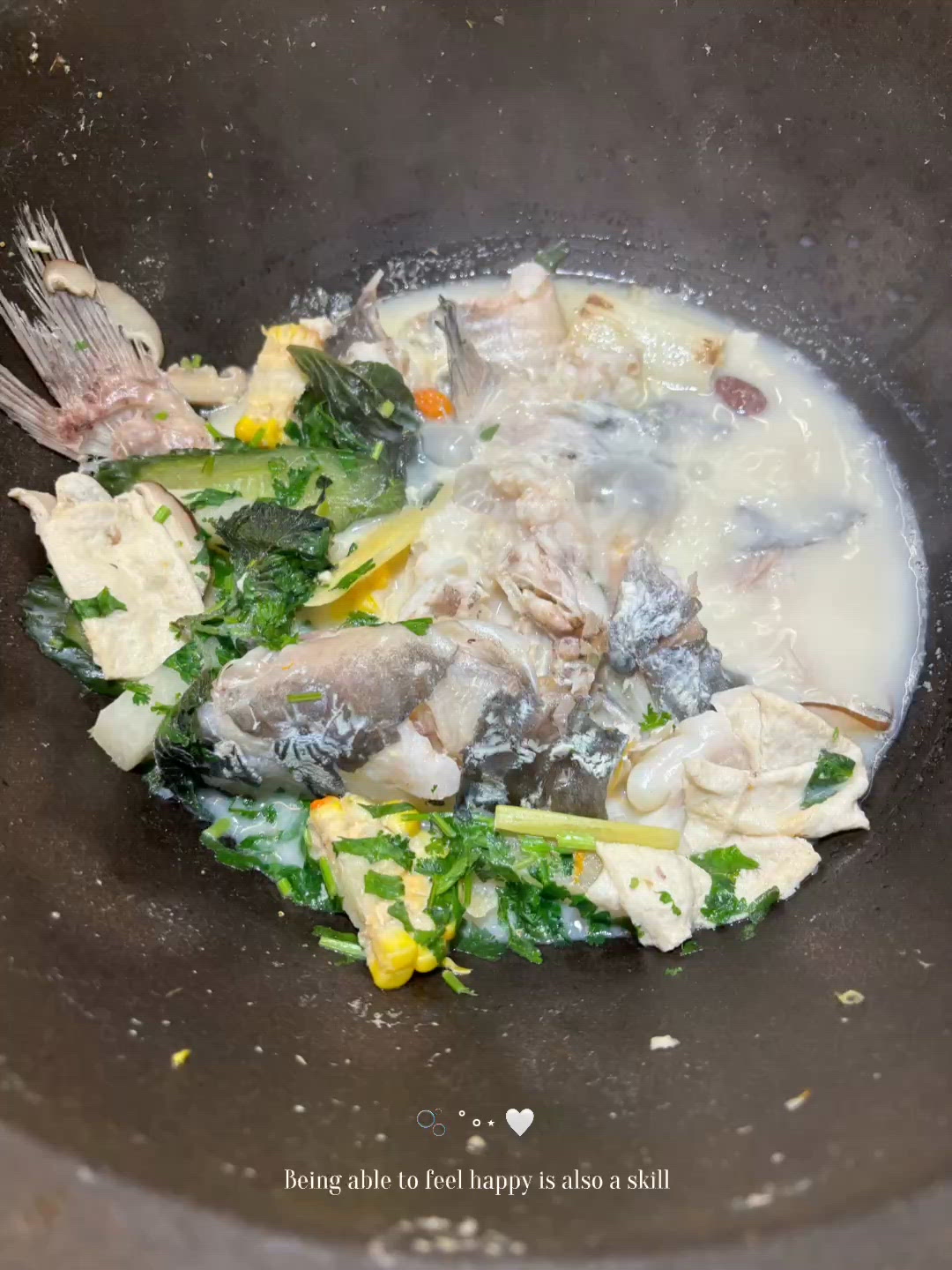 🐟 深圳鮮潭石鍋魚:超療癒蒸汽石鍋!