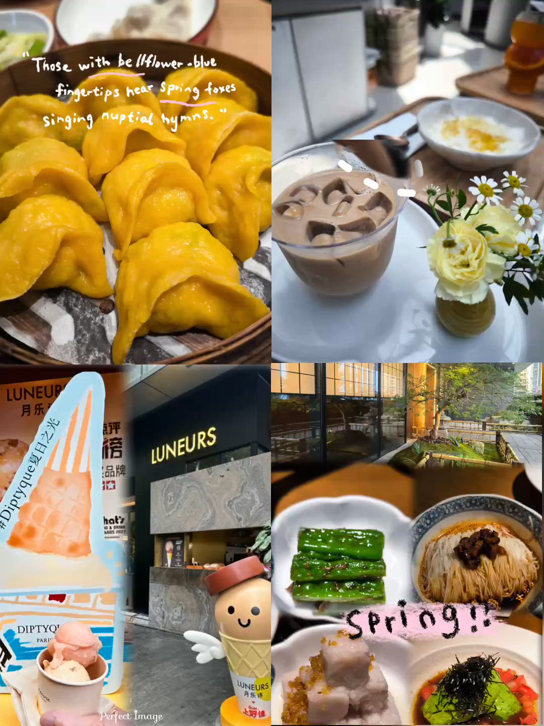 萬象天地一日遊！🥟🍦🥬