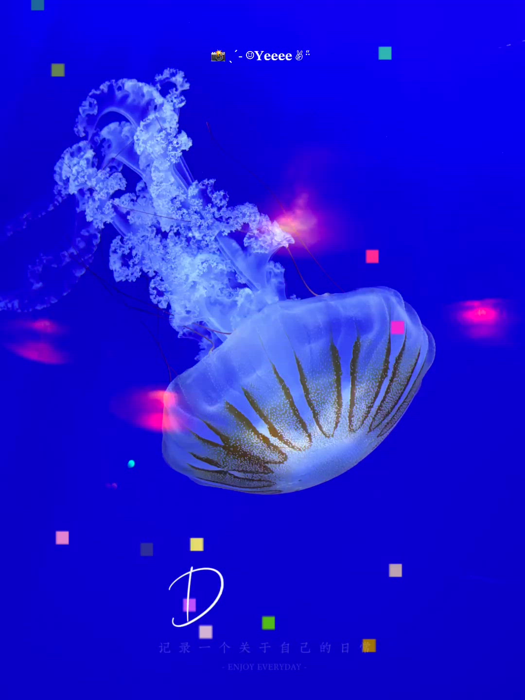 海洋公園夜夢幻!夢幻水族館看水母+超震撼夜間水上煙花匯演