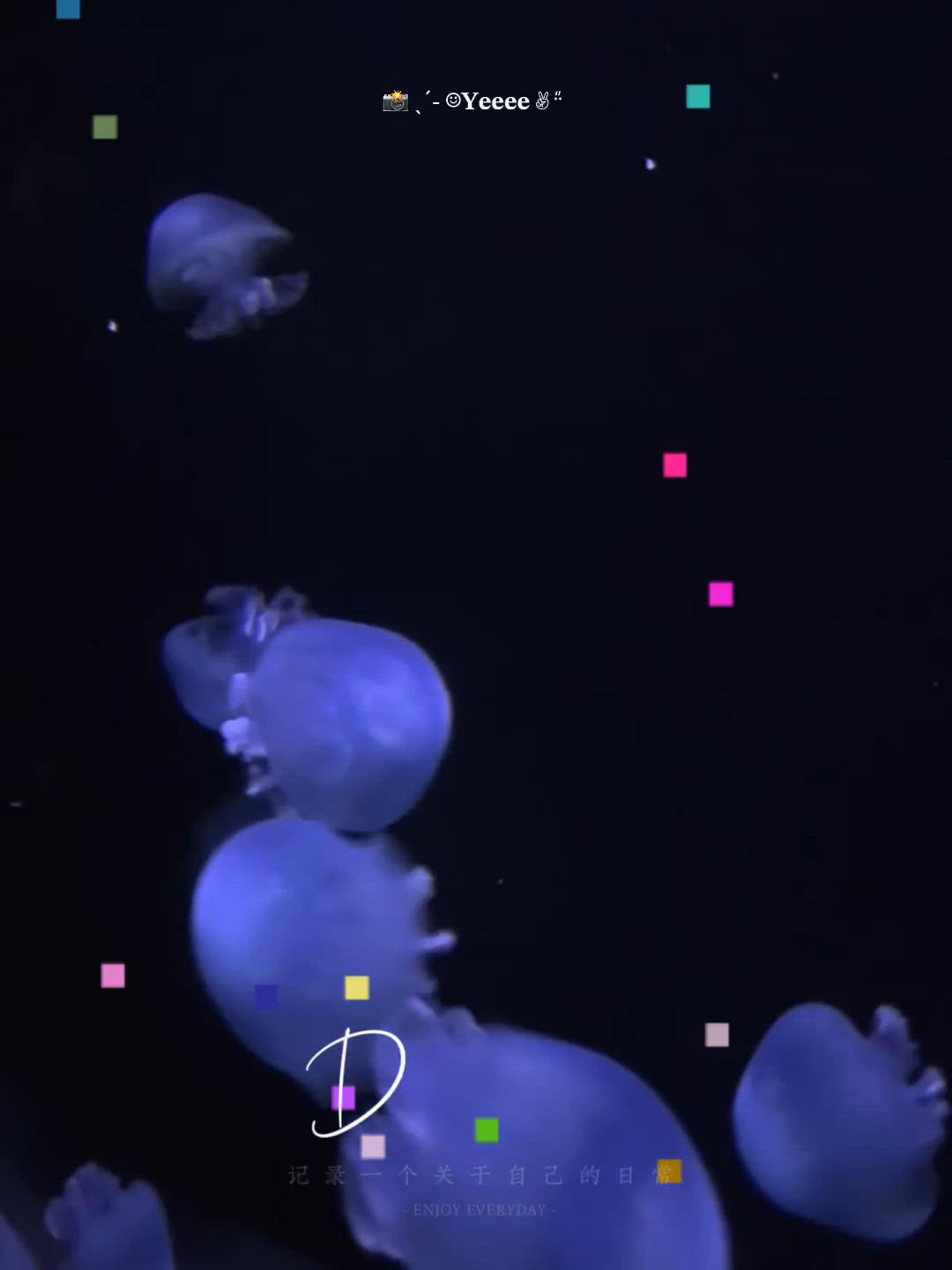 暑假親子快閃!海洋公園探｢夢幻水母萬花筒｣ 🪼✨
