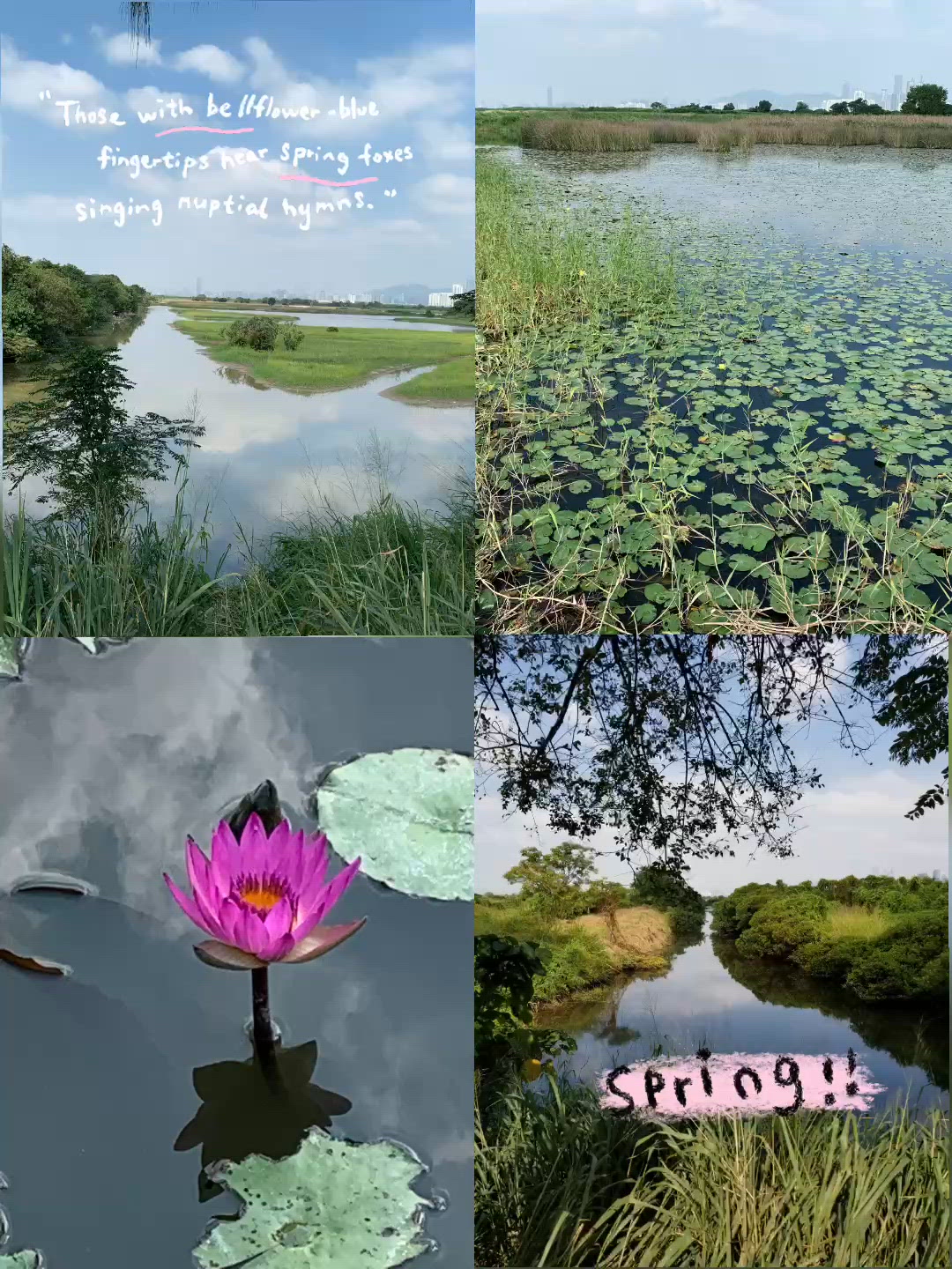 米埔自然保護區生態探險｢親親紅樹林 + 近距離觀鳥｣ 🌾🦆