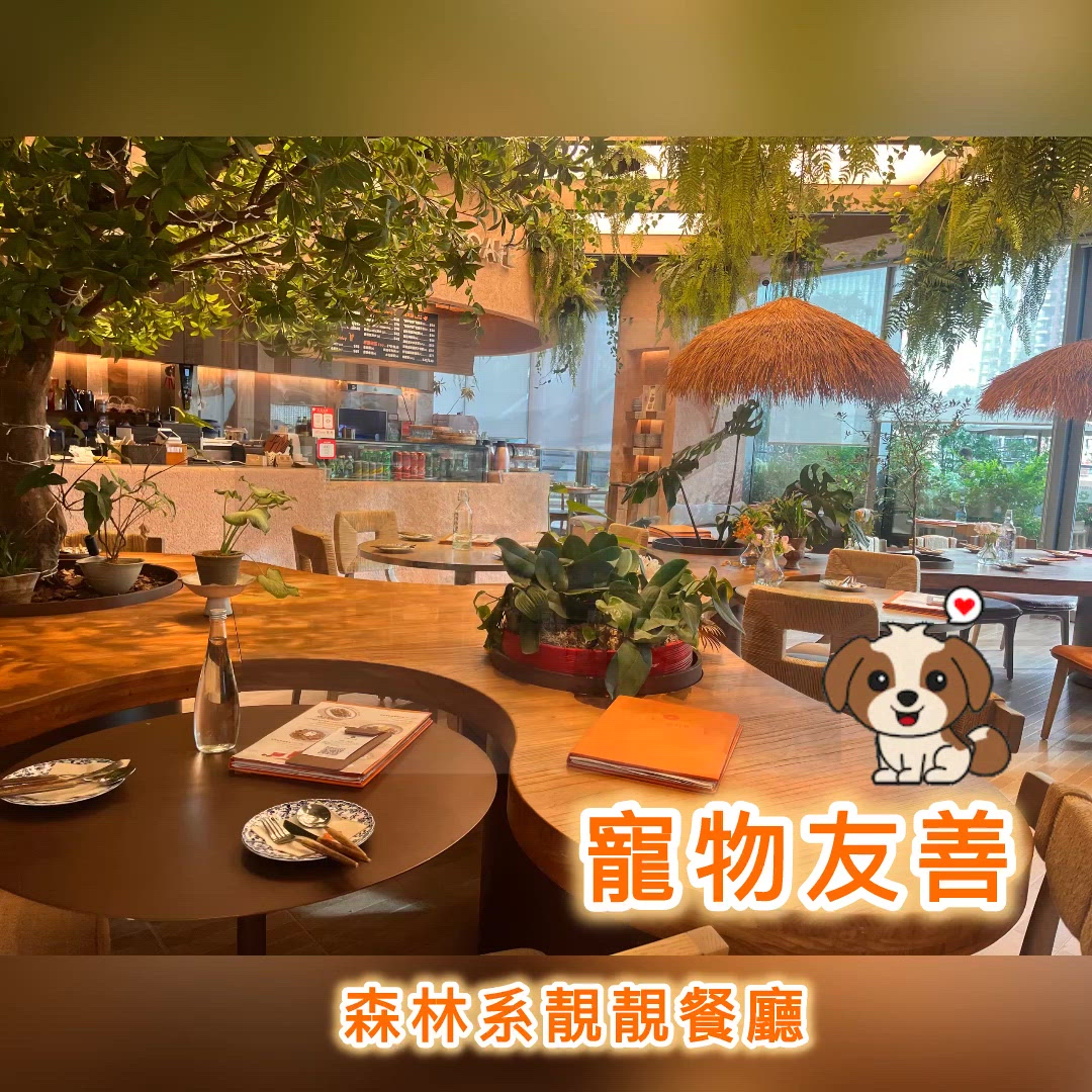 🌳🌿 啟德森林系Cafe☕️｜花園式享受！🍄🍯