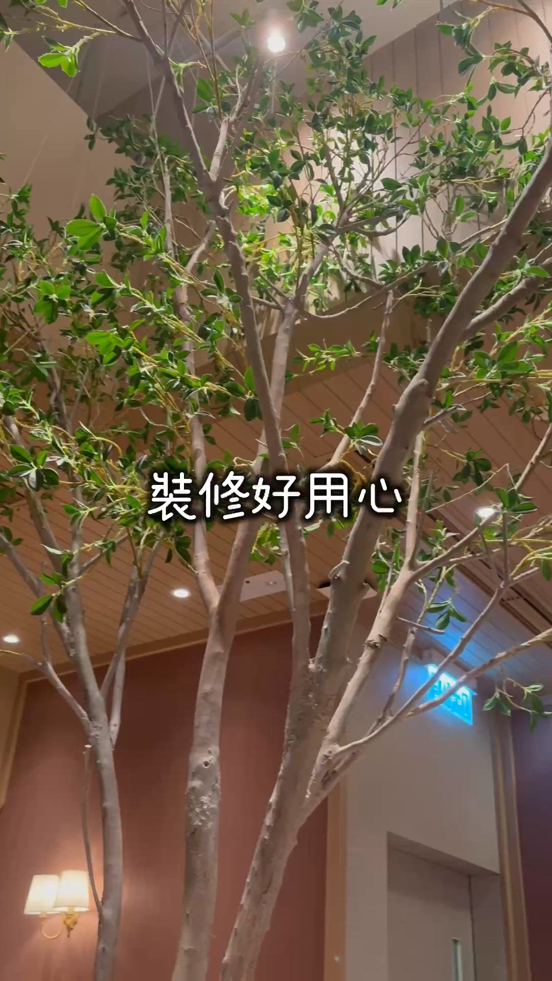 Cwb靚靚親子餐廳