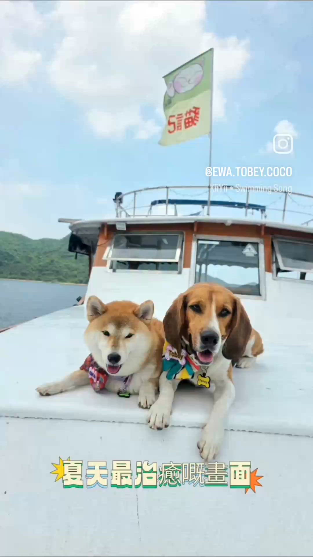 夏天最治癒嘅畫面, 就係帶住 tobey coco去玩水. 