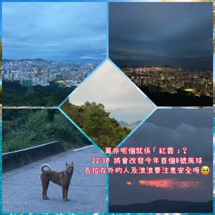 飛鵝山🚶‍♀️🤩！無敵靚景！