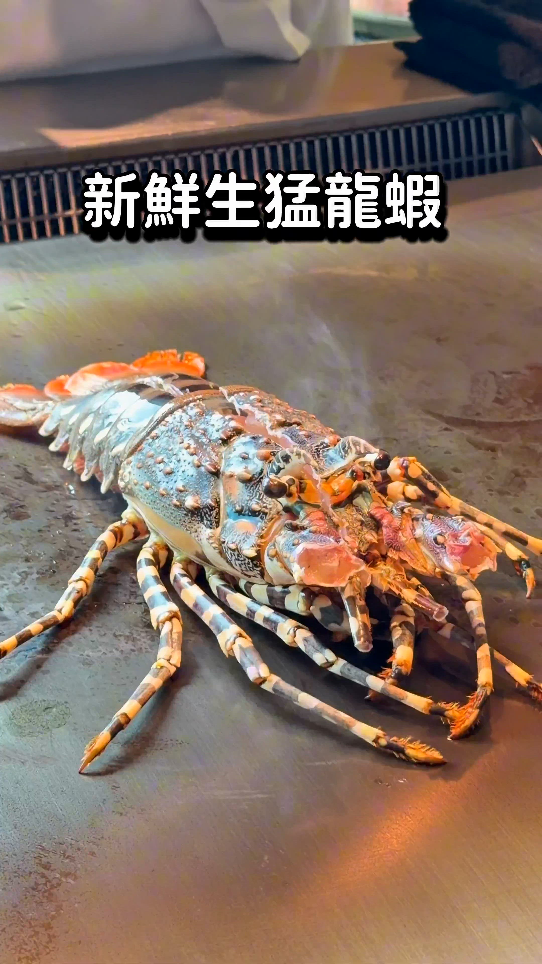 自己整和牛！😍 🍽️ ｜ 🥳 玩轉神之盒子！💸 🌟