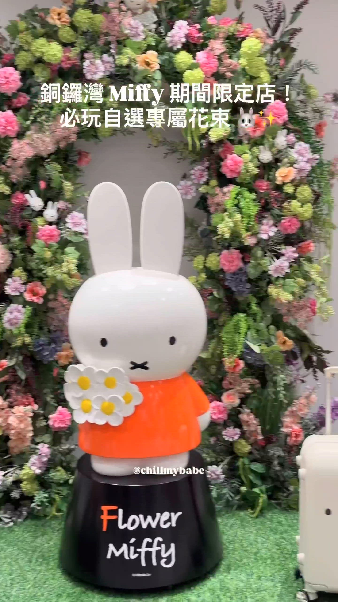 Miffy花花世界太犯規！🌸💐💖