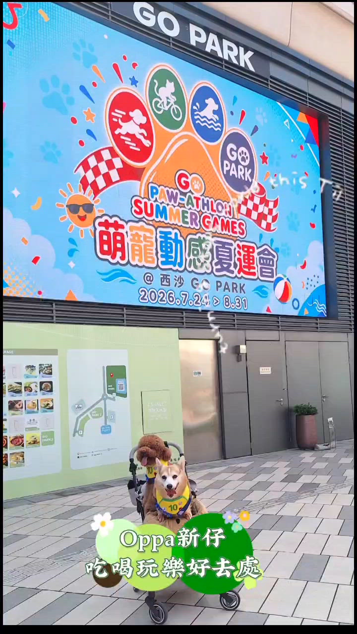 1. 盛夏！萌寵放電天堂🐾🌊！