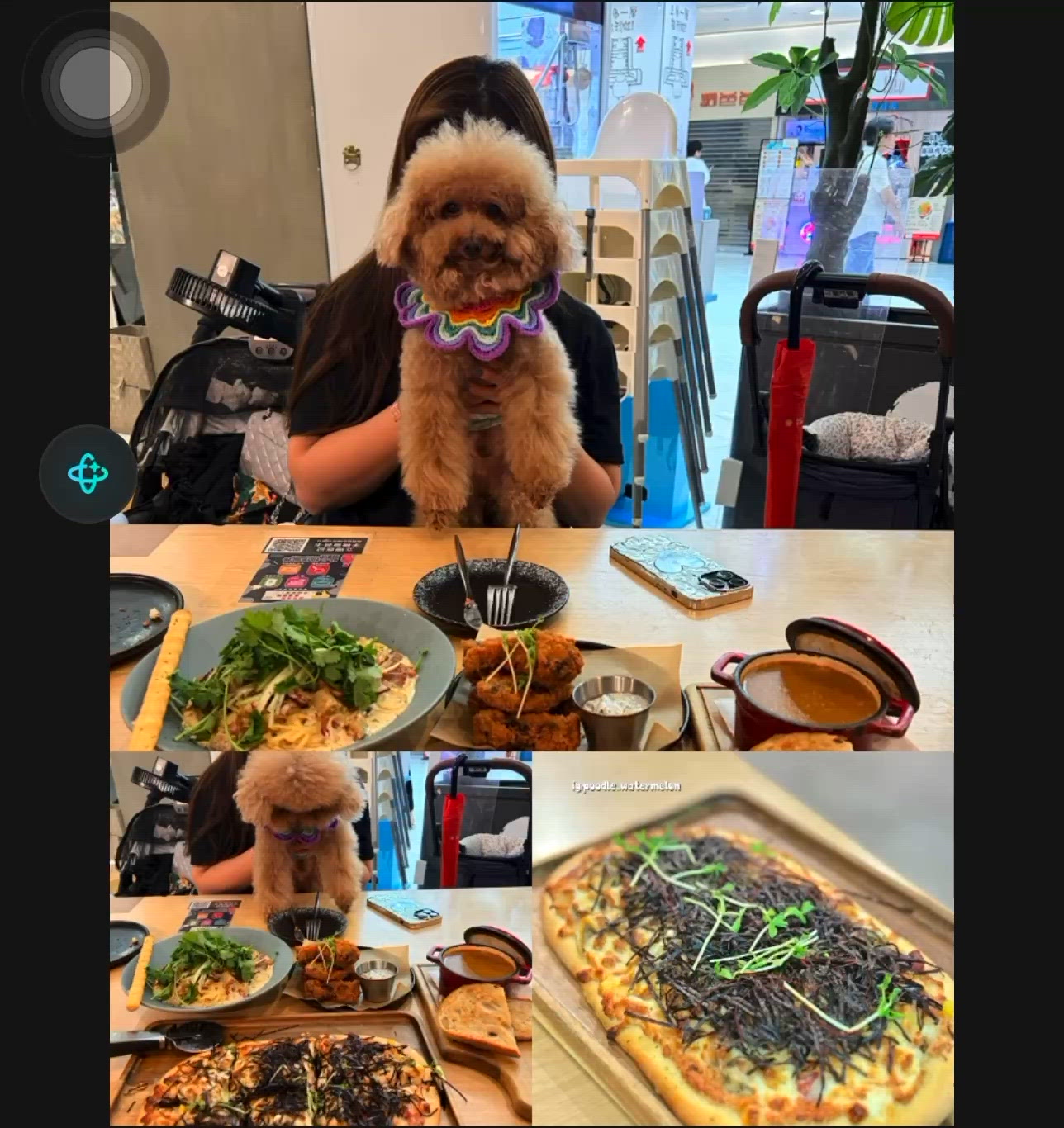 💥觀塘區♡超正嘅Pet Friendly西餐廳🤤