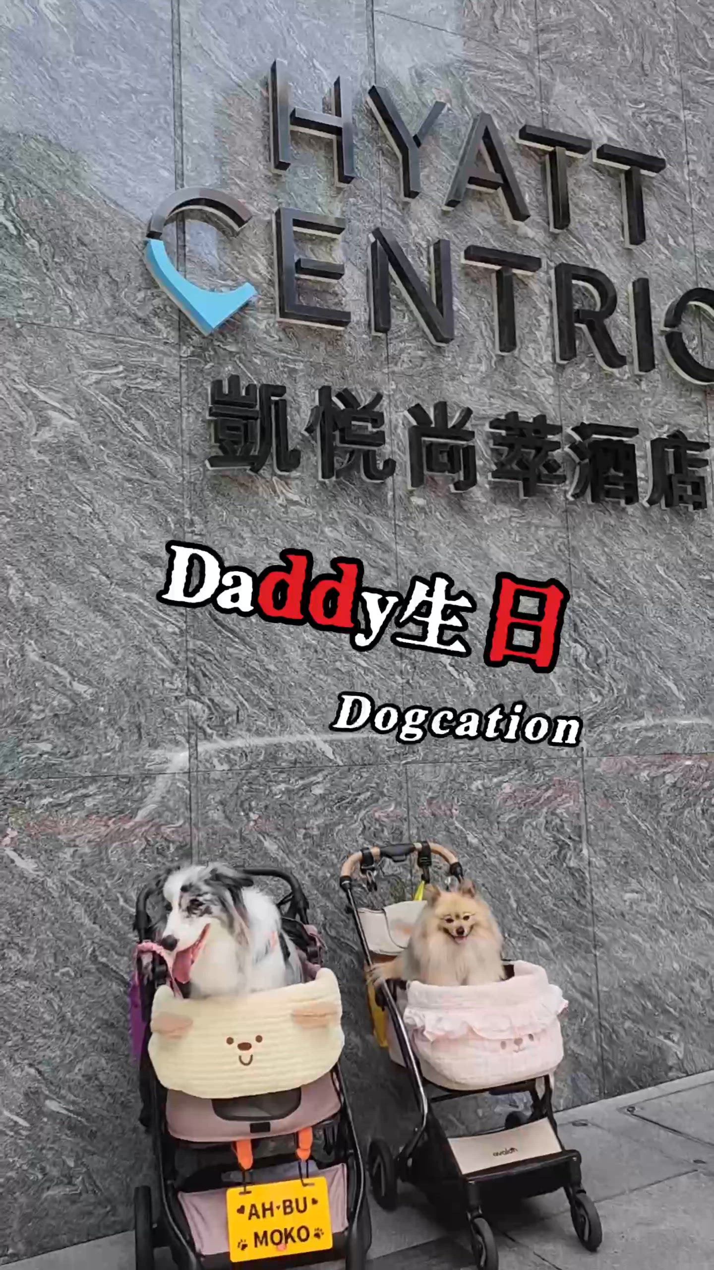 media 1