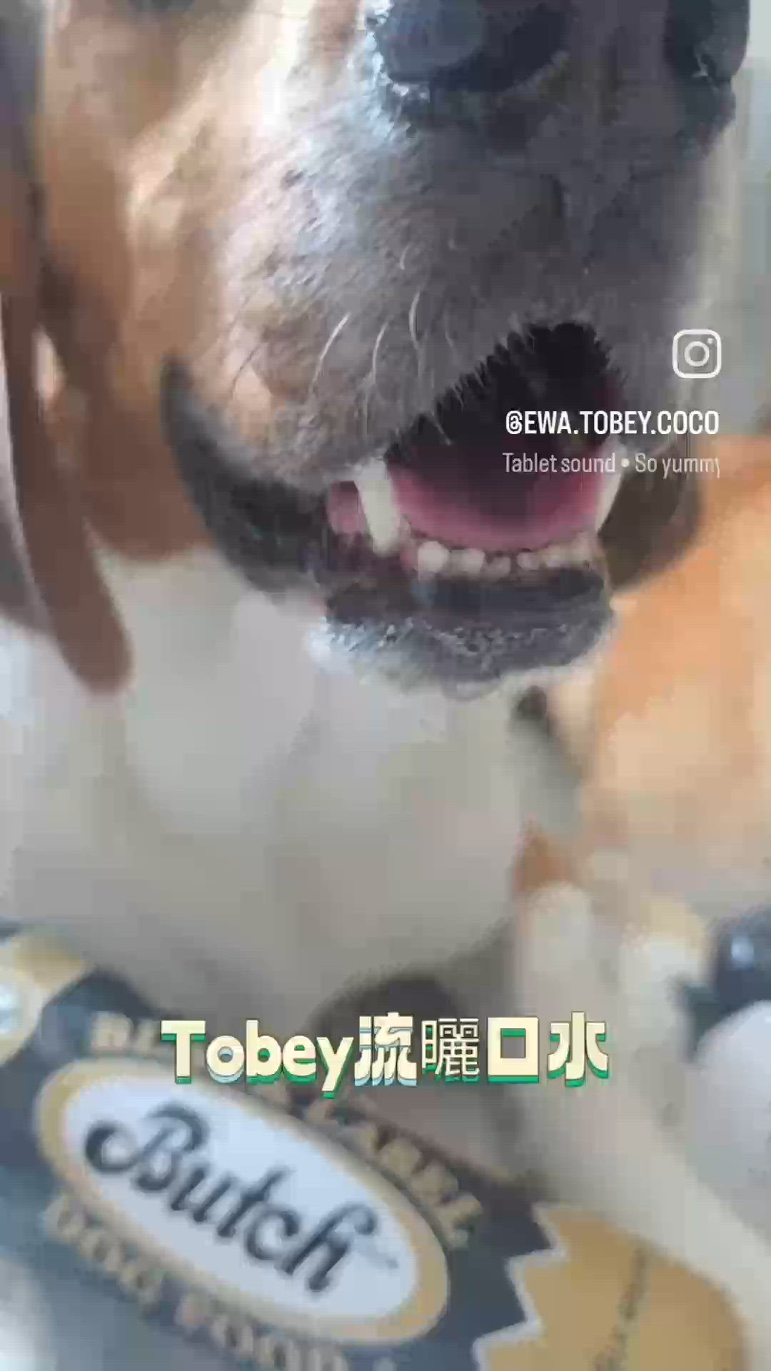 來自紐西蘭知名品牌 Butch 冷藏鮮肉糧. 佢哋嘅核心優勢