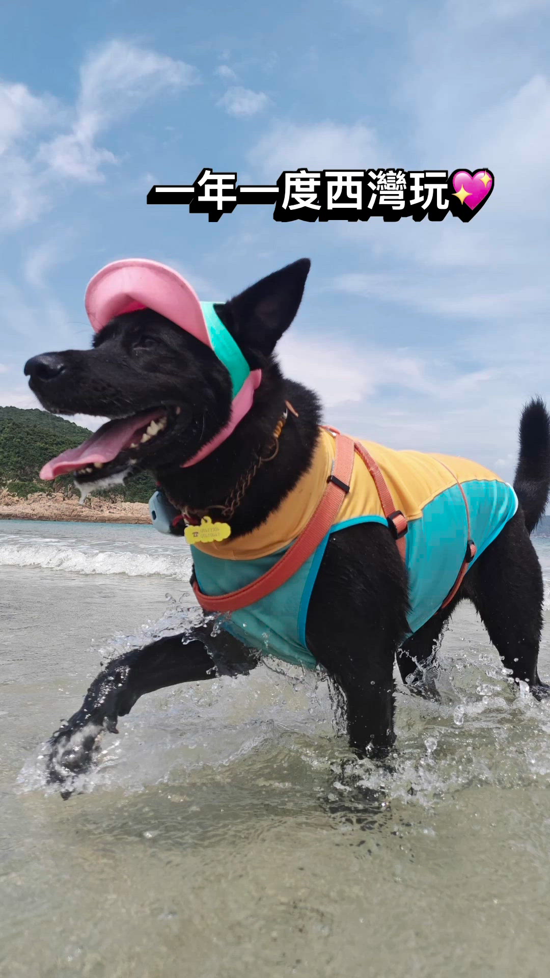 西灣🐶 又嚟啦！ 🌊😎